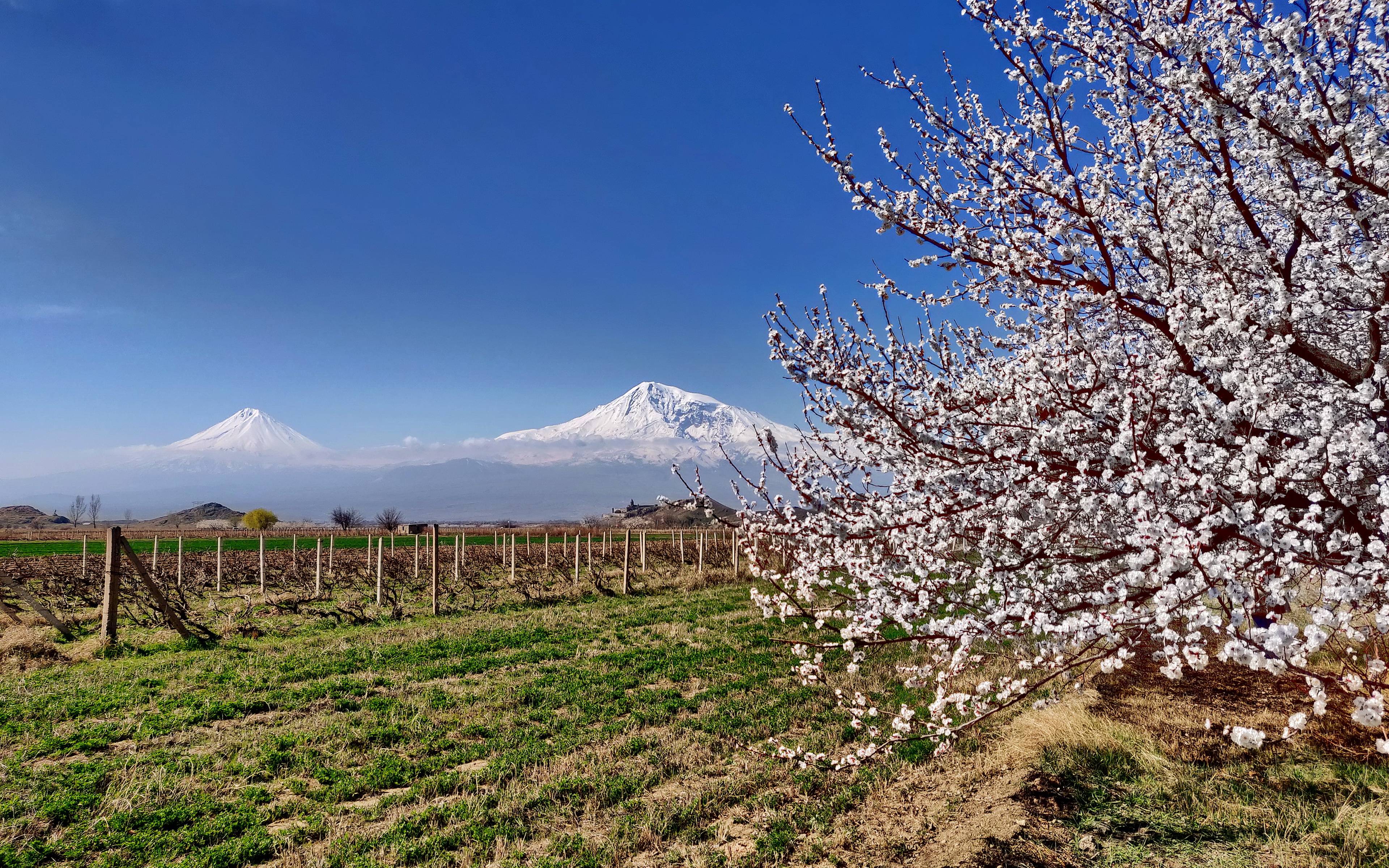 Lo Stonehenge d’Armenia e il panorama sul Monte Ararat