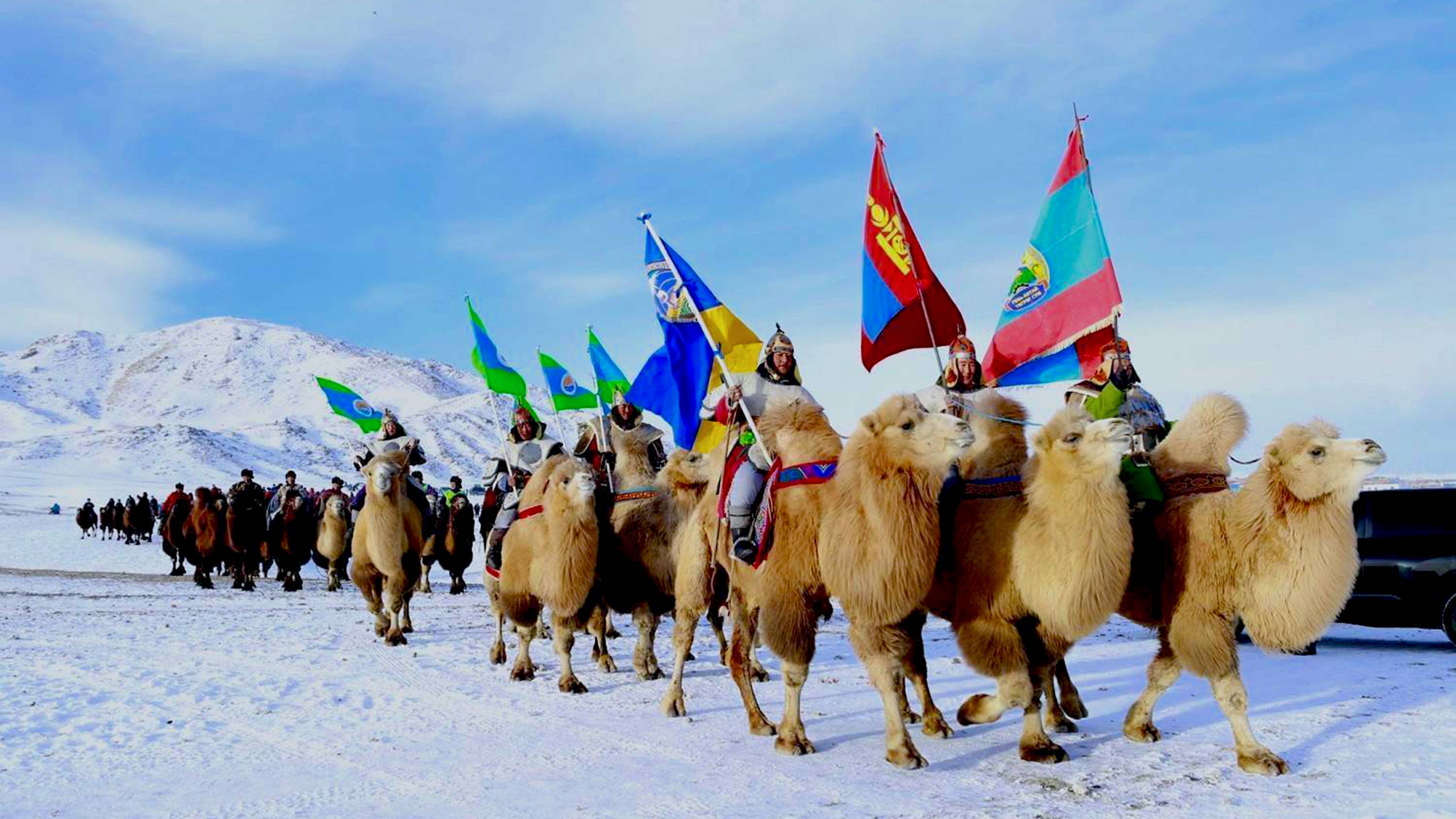 Cammelli e deserto del Gobi in inverno