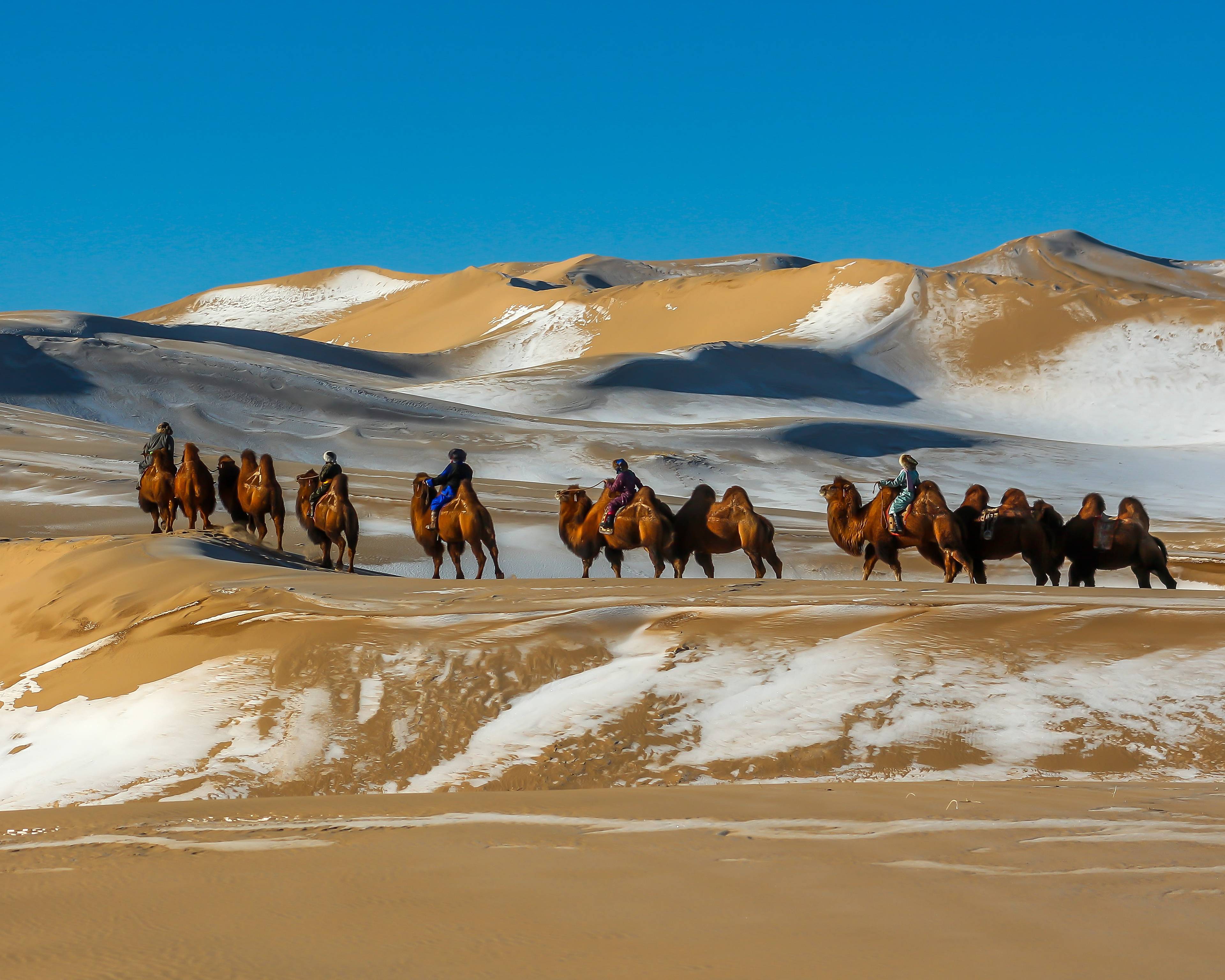 Rencontres hivernales avec les nomades du Gobi