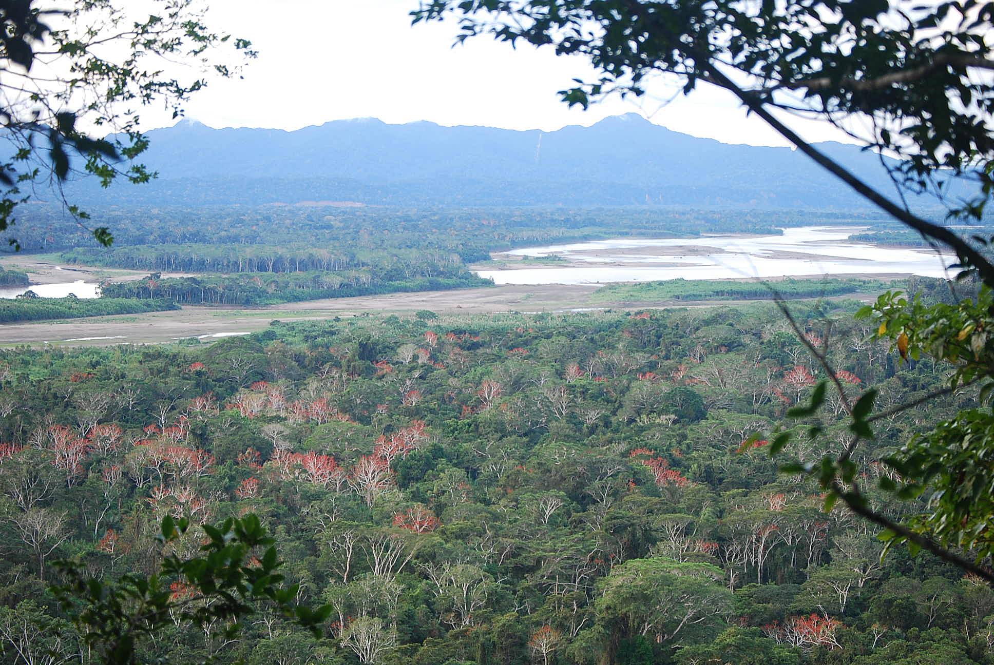 Parc national Madidi