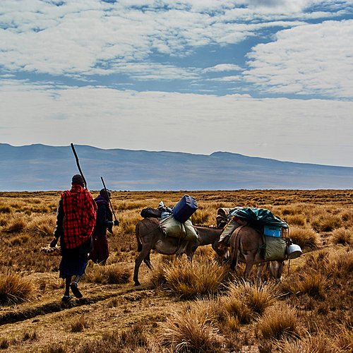 Safari magique et randonnée Maasai - 
