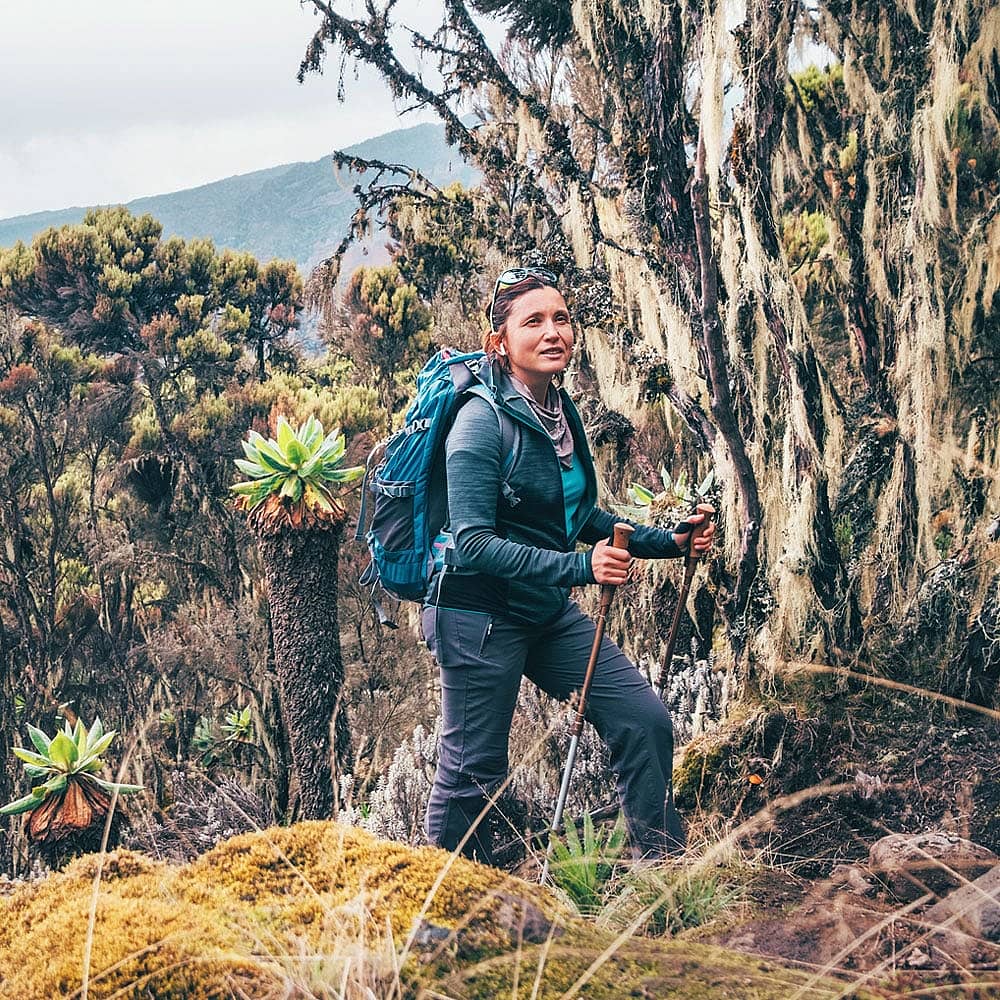 Treks et randonnées en Tanzanie  - Ascension du Kilimandjaro et Circuits sur mesure