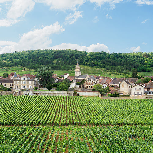 Randonnée à vélo en Bourgogne du Sud, entre vignobles et patrimoine - 