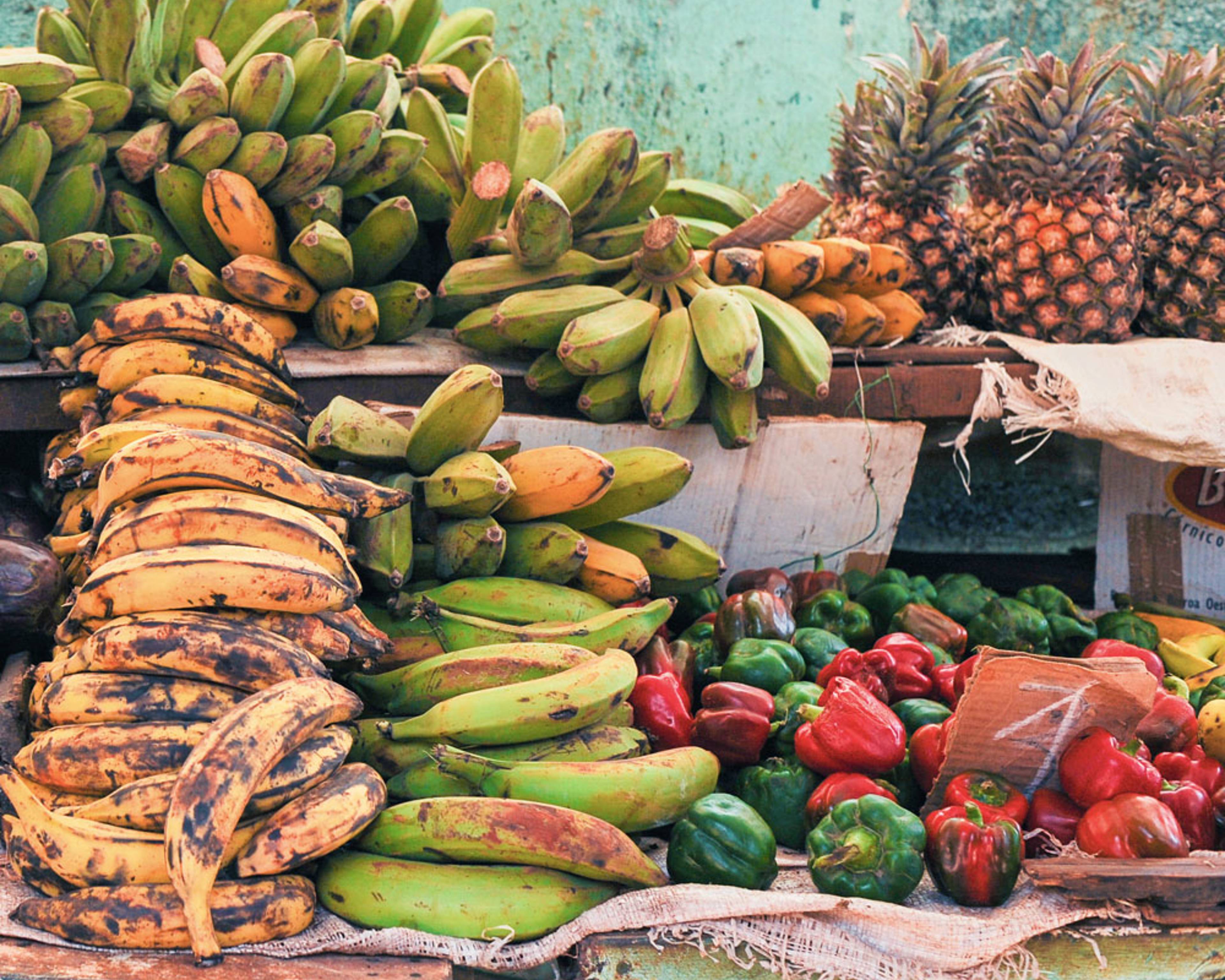 Il tuo viaggio Gastronomia e enologia a Cuba su misura