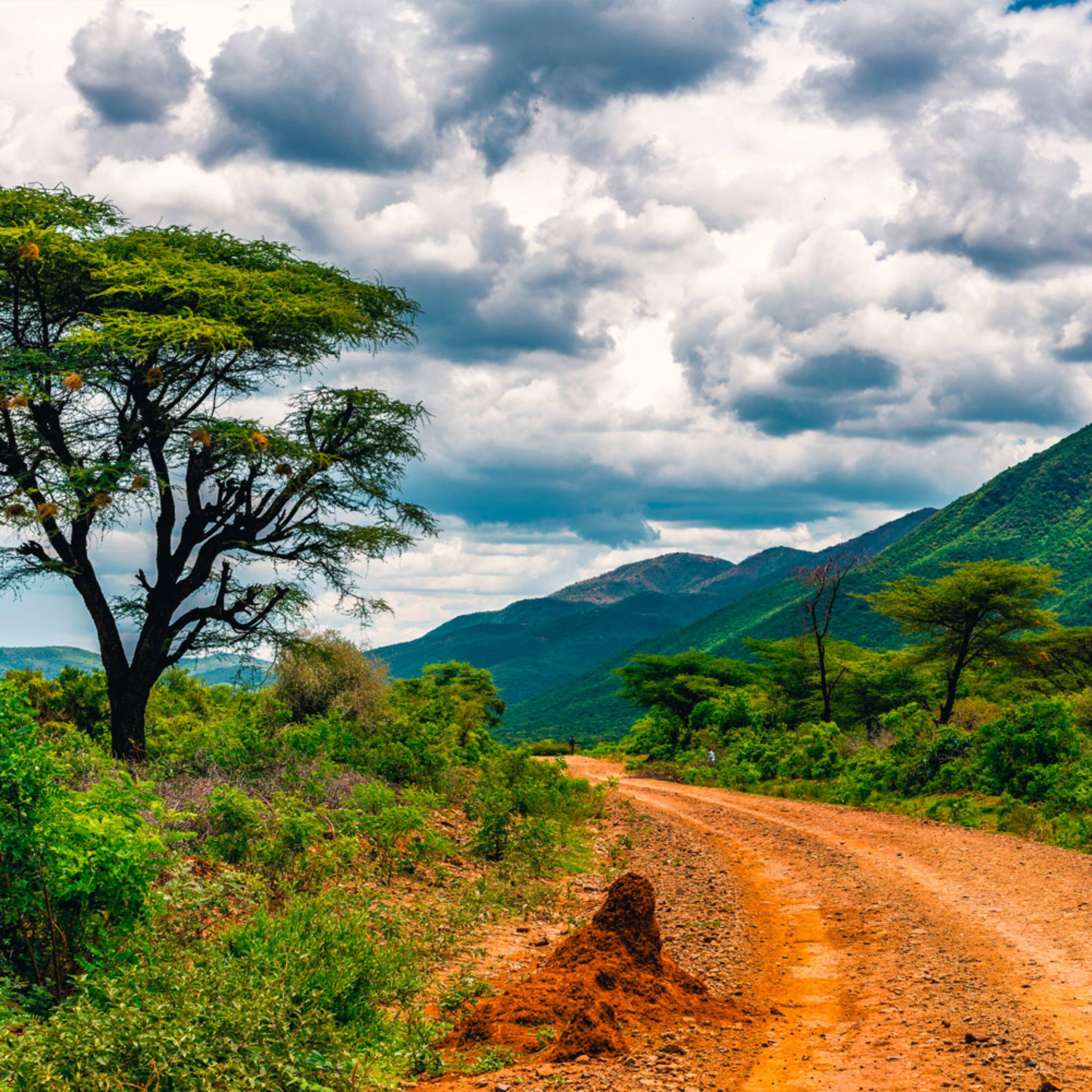 Votre voyage au cœur des grands espaces naturels au Kenya