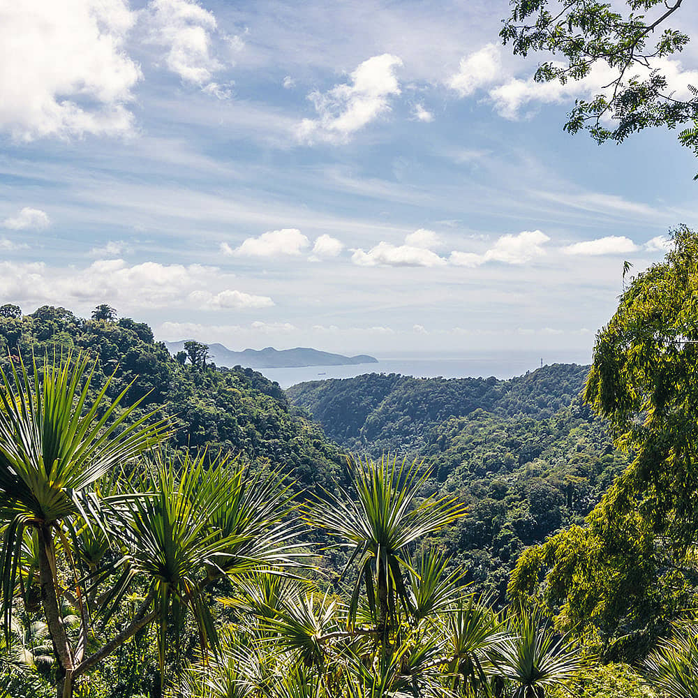 Votre voyage au cœur des grands espaces naturels en Martinique