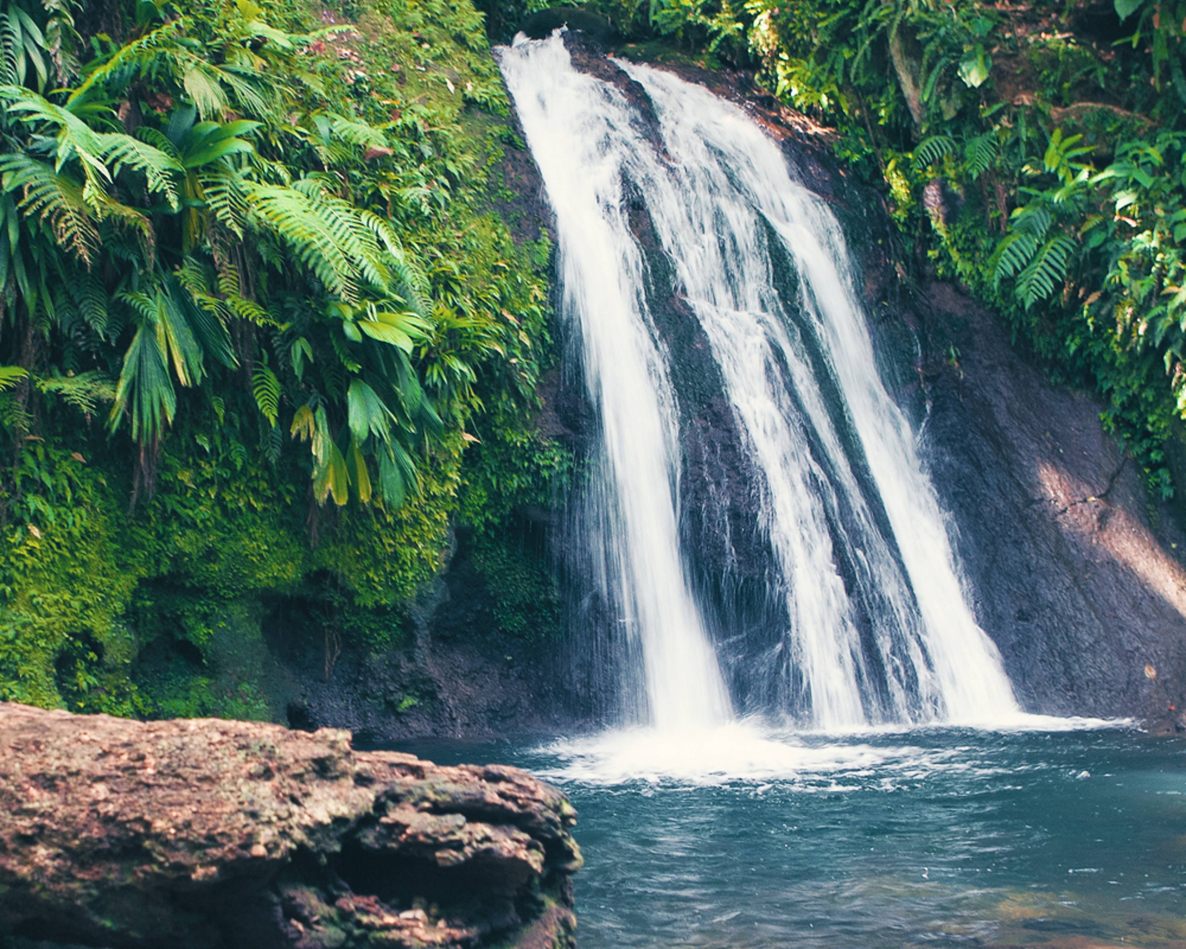 Votre voyage au cœur des grands espaces naturels en Guadeloupe