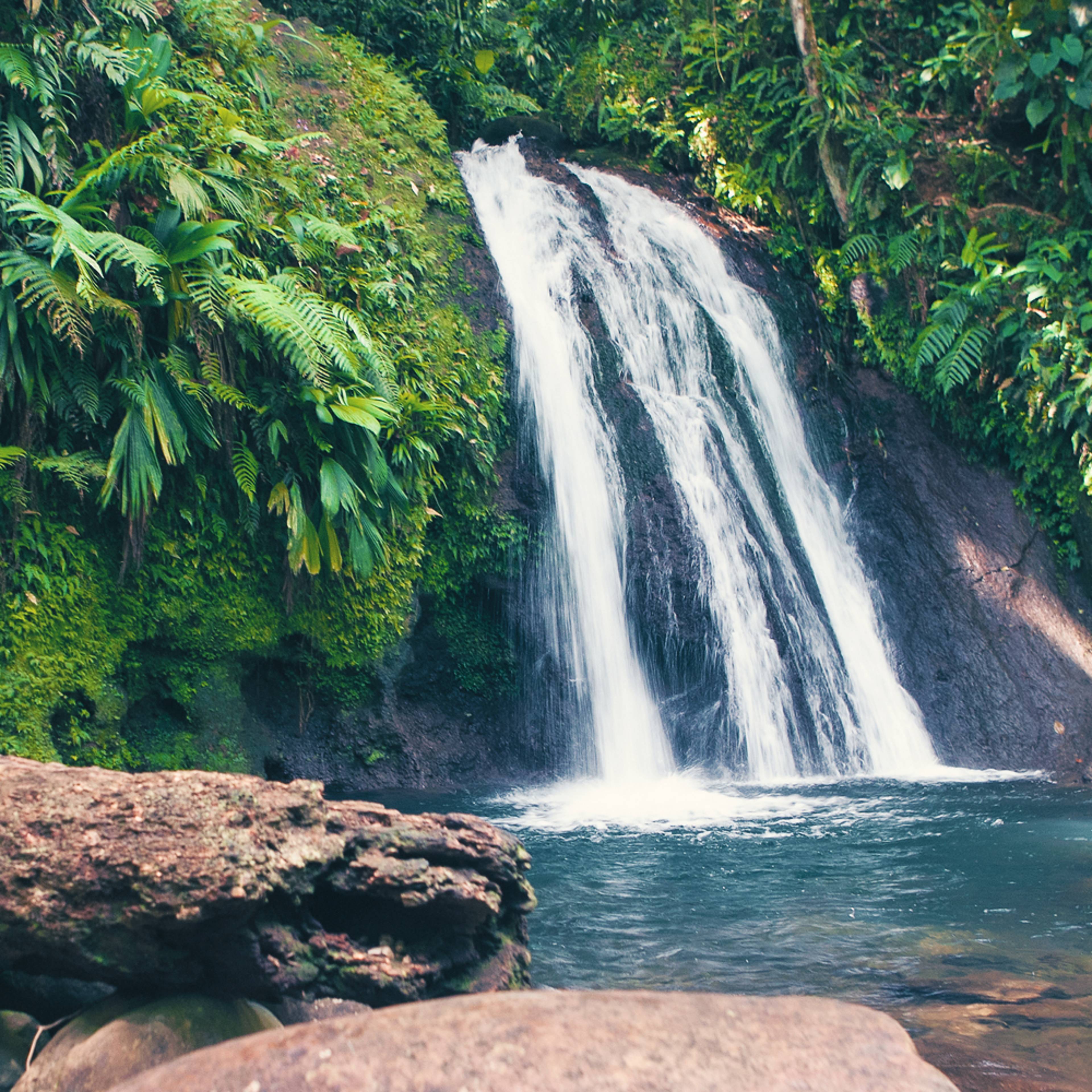 Votre voyage au cœur des grands espaces naturels en Guadeloupe