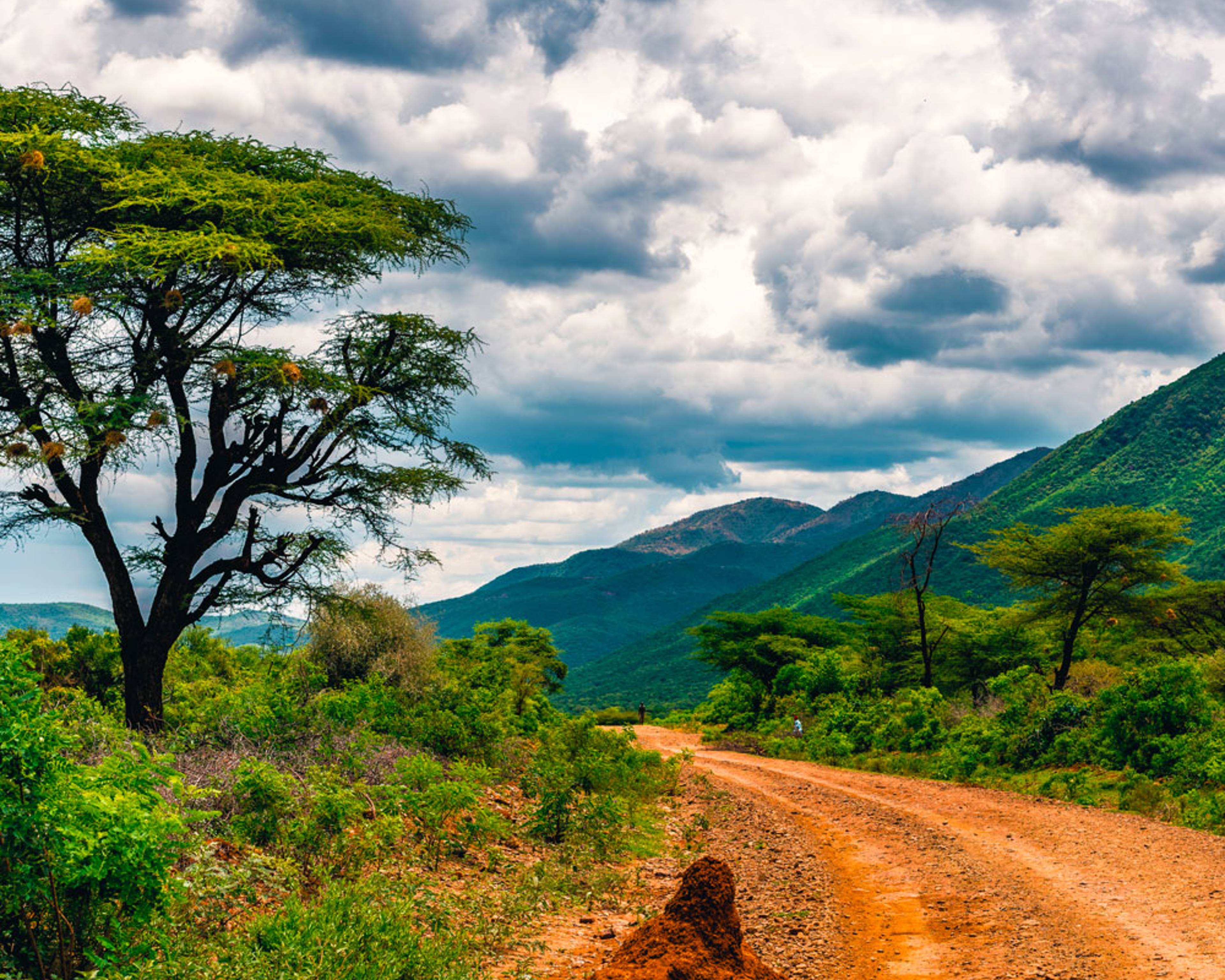 Il tuo viaggio nella Natura in Kenya su misura