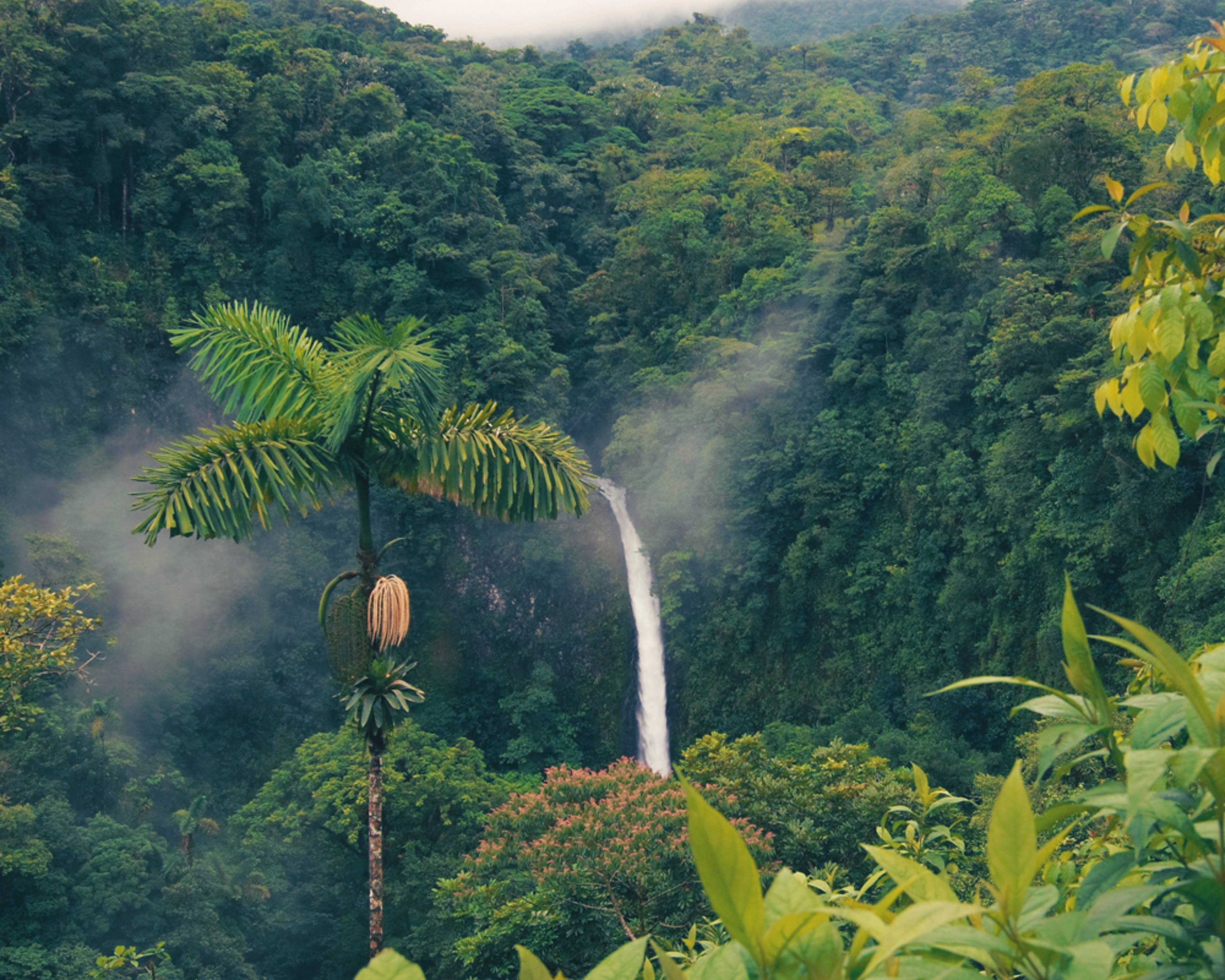 Tu viaje en plena naturaleza a Costa Rica