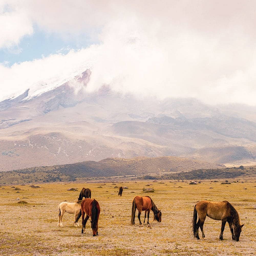 Viajes de naturaleza a Ecuador - Viajes a medida para disfrutar al aire libre