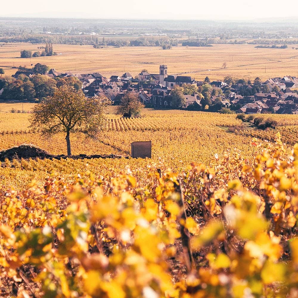 Votre voyage en automne en France selon vos envies