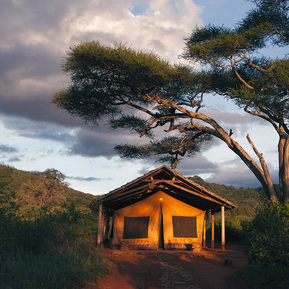 Naturreisen Tansania -  jetzt individuell gestalten
