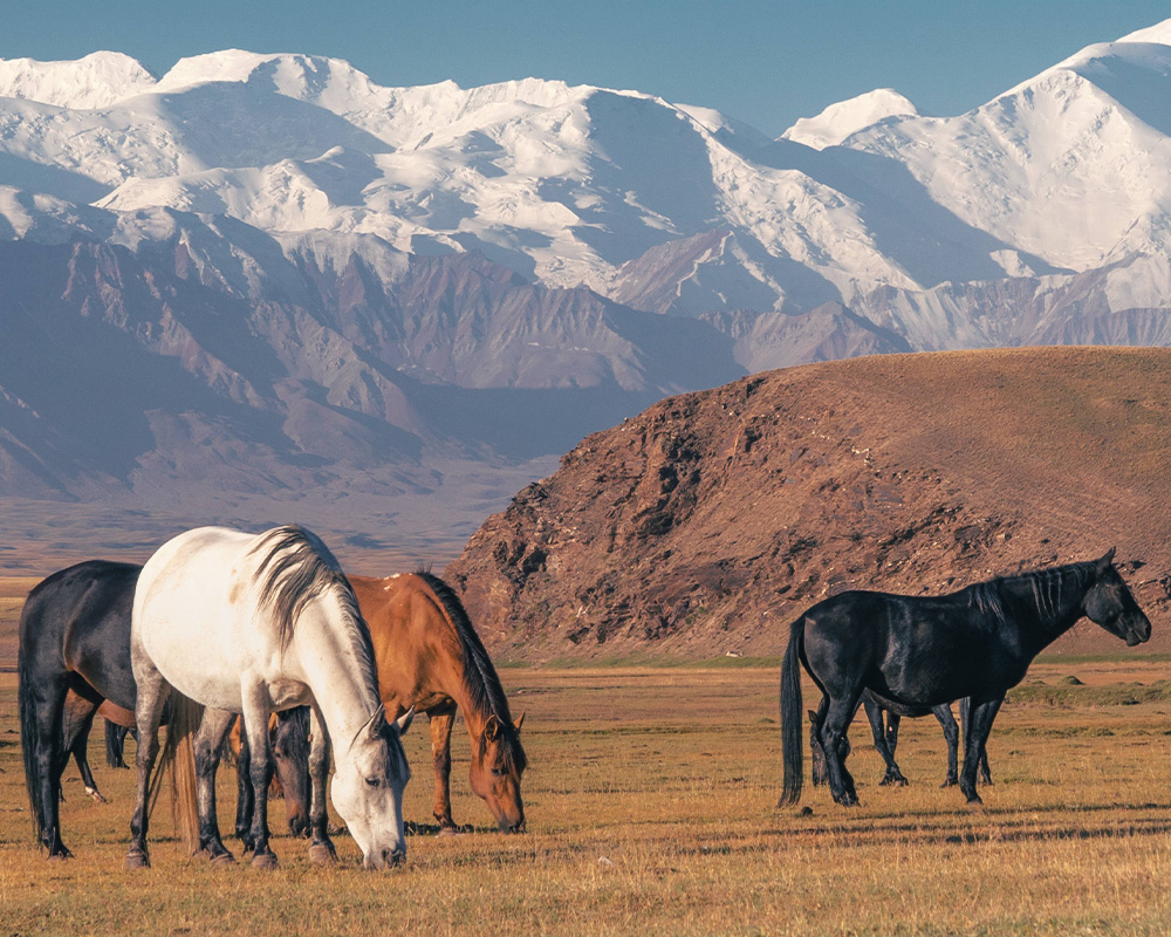 Votre voyage au cœur des grands espaces naturels au Kirghizistan
