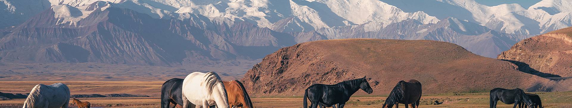 Naturreisen Kirgistan