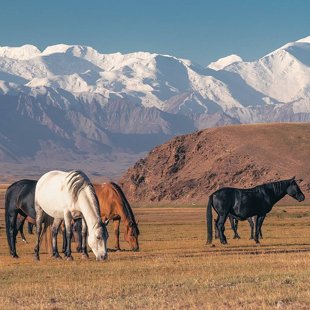 Naturreisen Kirgistan - jetzt individuell gestalten