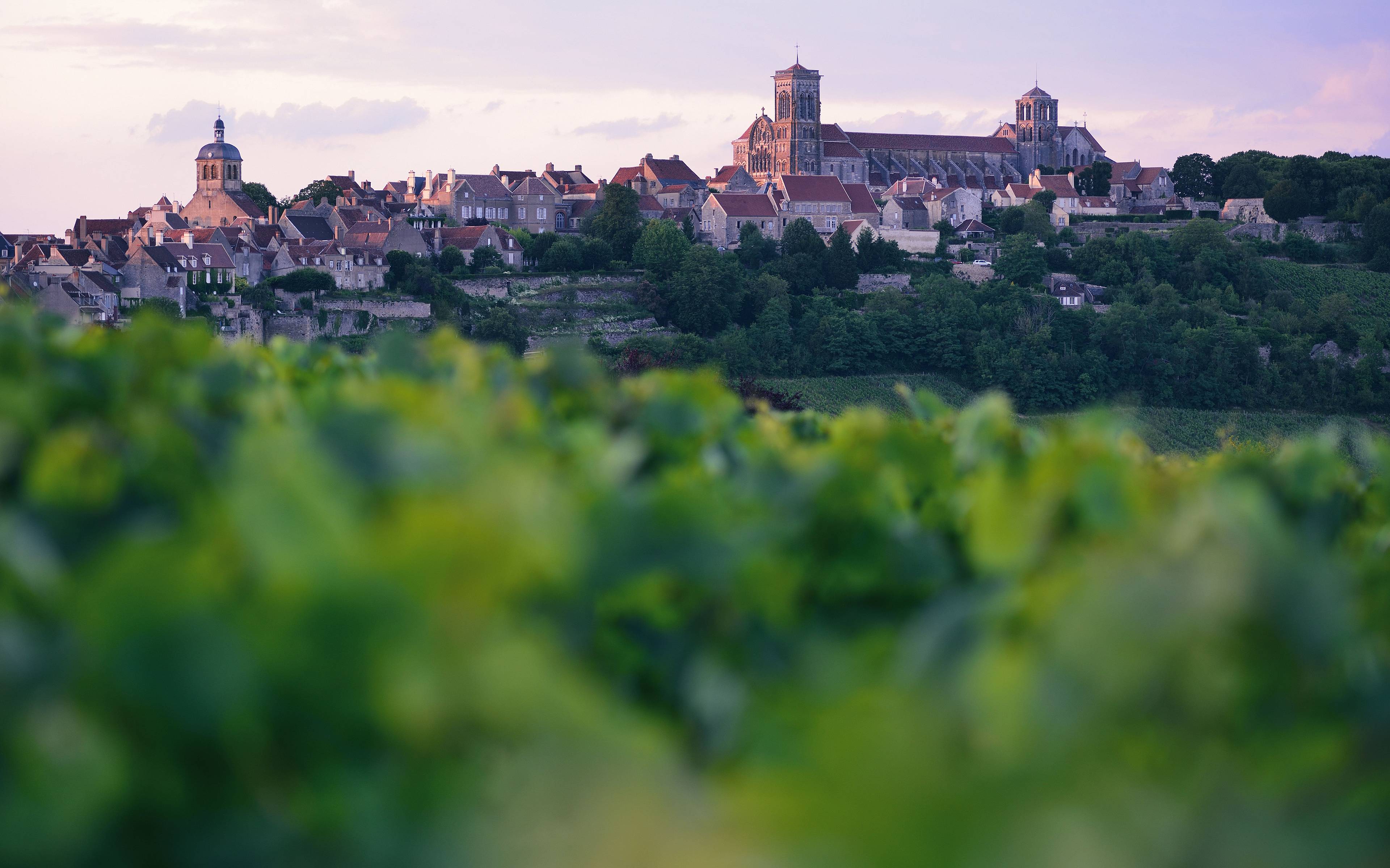Bourgogne Franche-Comté et Grand Est
