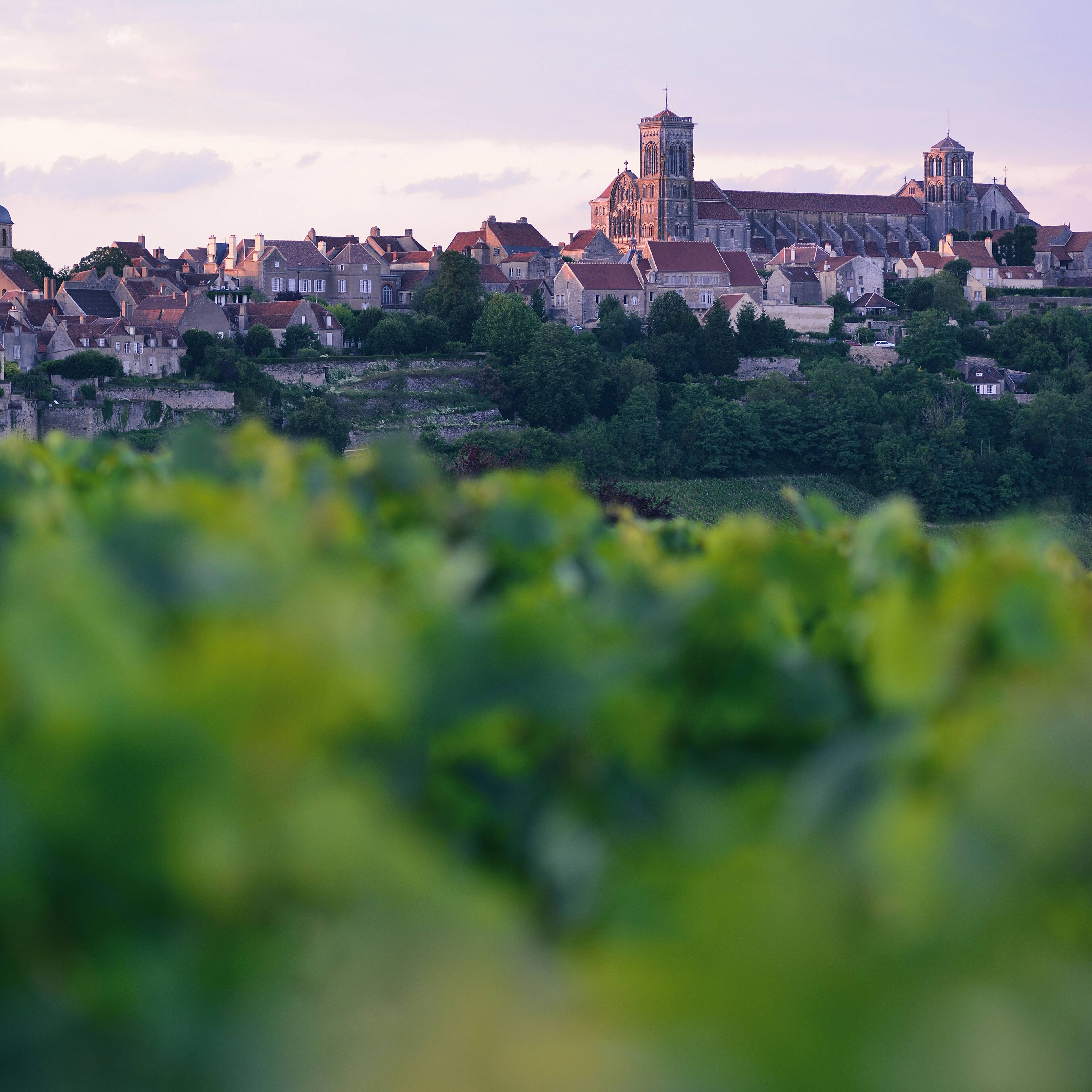 Le village de Vézelay vu depuis les vignes