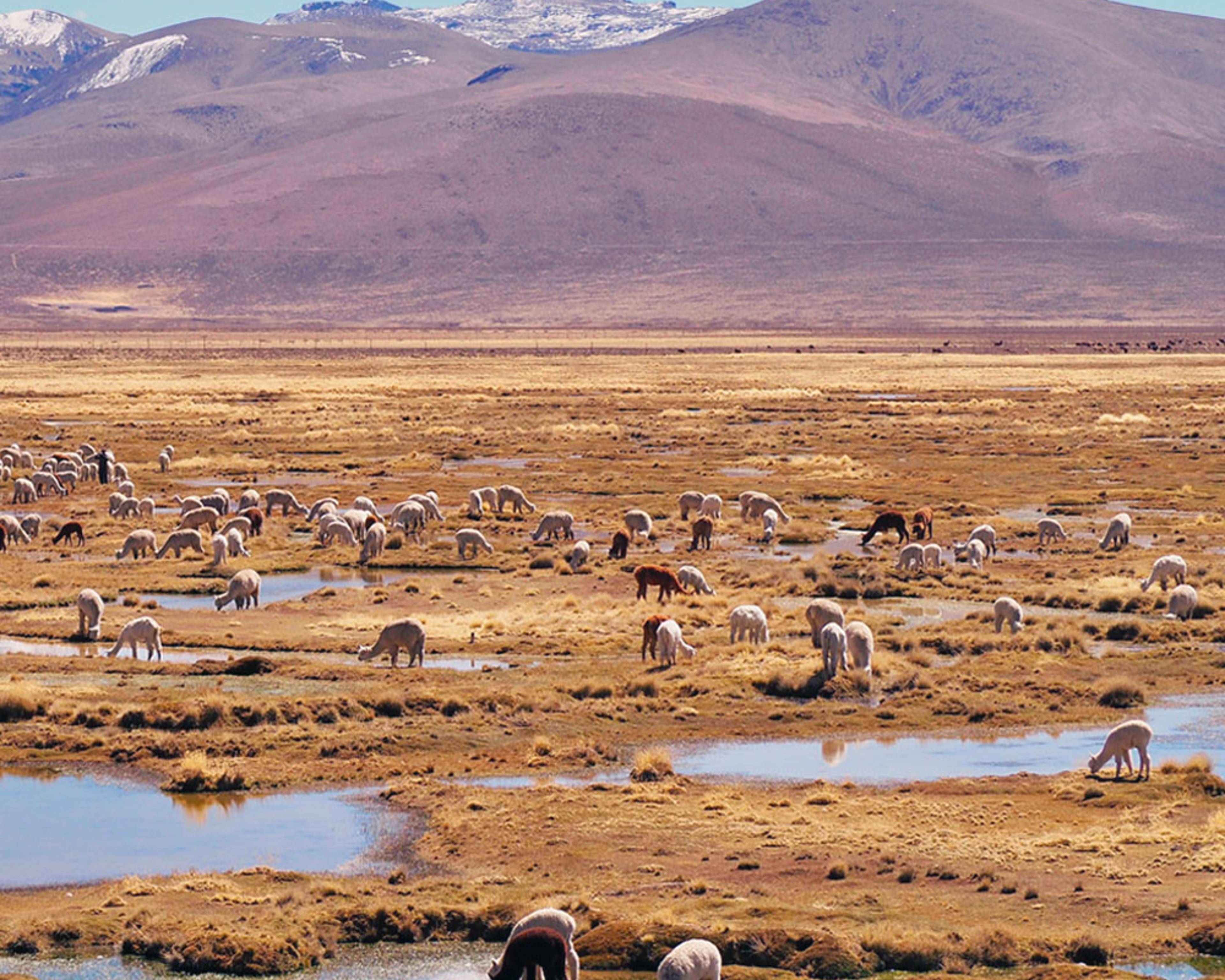 Viajes de naturaleza a Perú - Viajes a medida para disfrutar al aire libre
