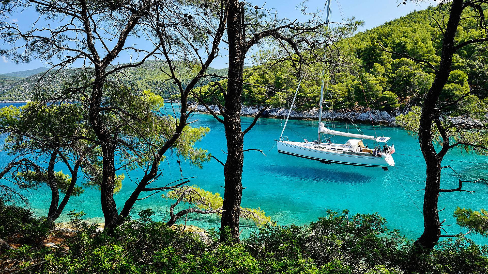 Croisière voilier aux îles Sporades : rencontres, dauphins et ports pittoresques
