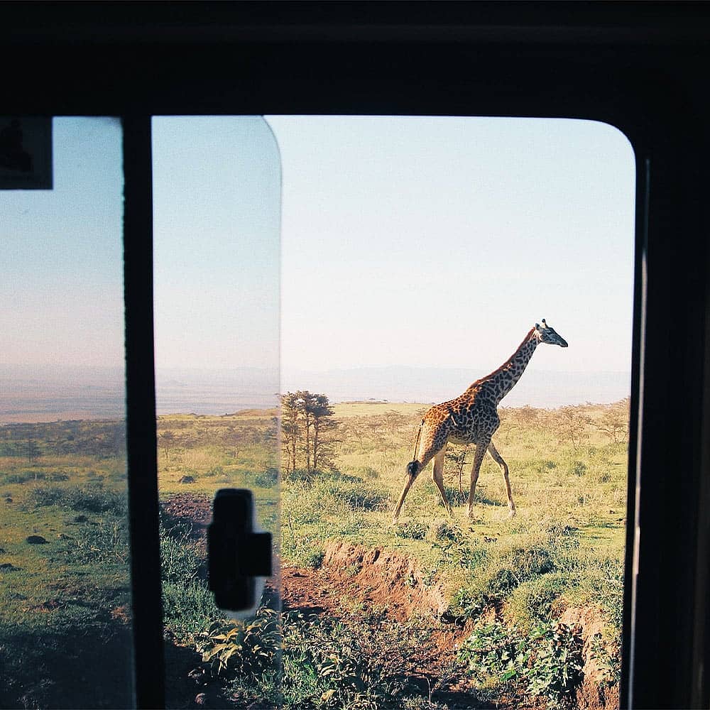 Uw op maat gemaakte safari reis in Tanzania