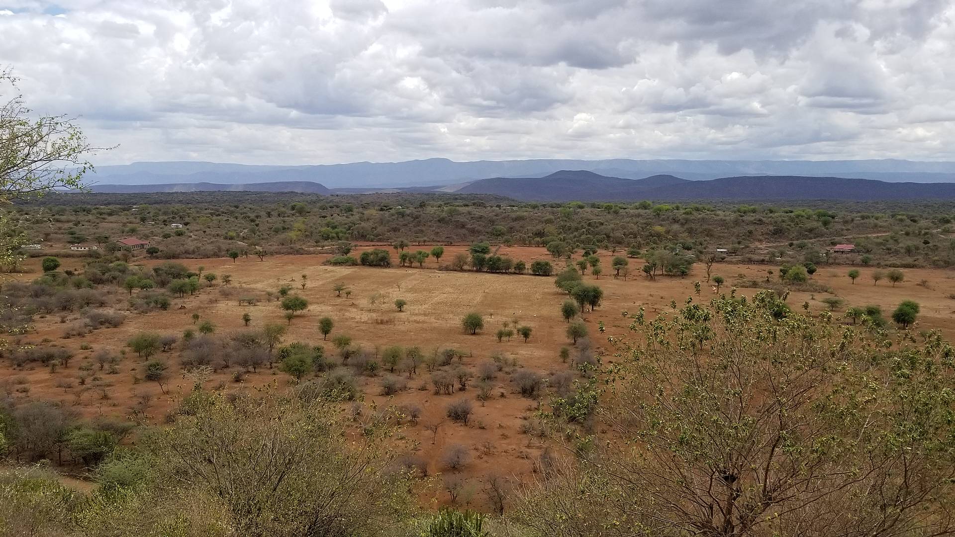 Kijani : éco-safari en terres préservées