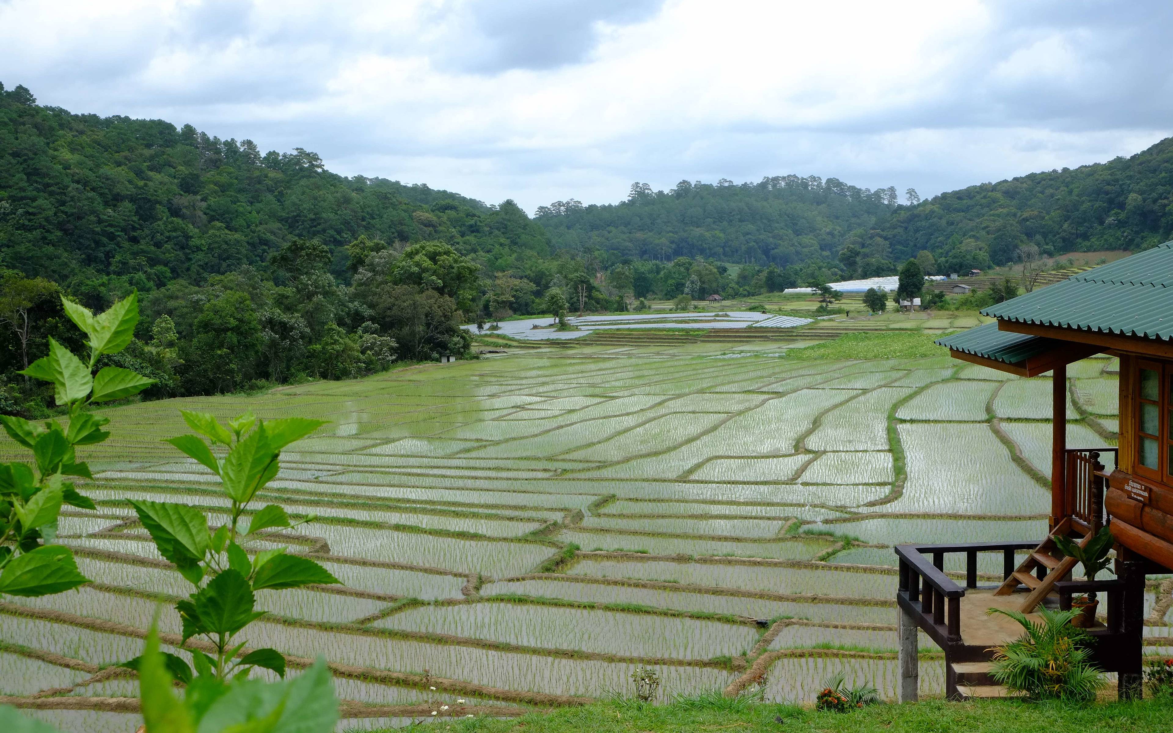 Los arrozales y pueblos de Doi Inthanon