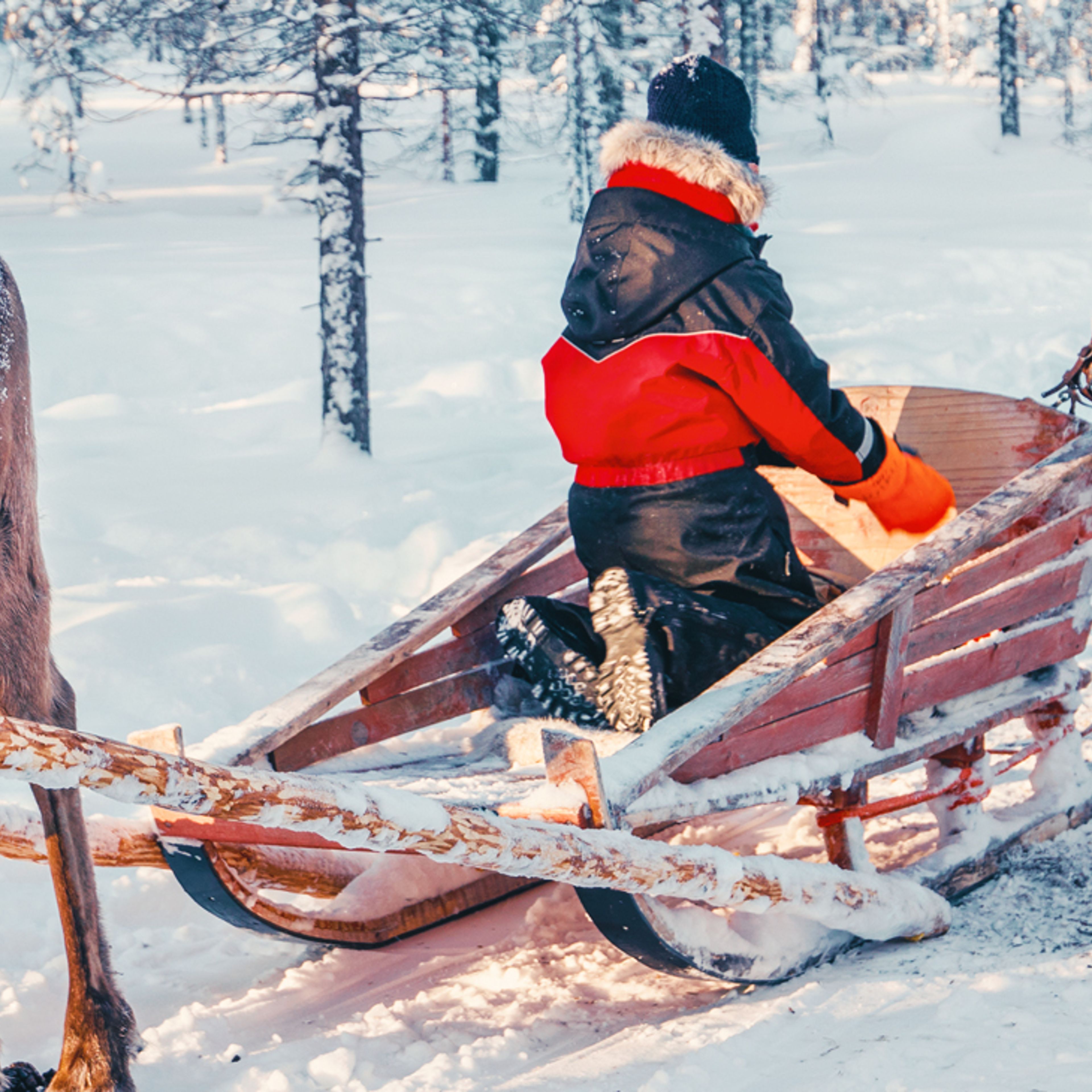 Winter Finnland Reisen