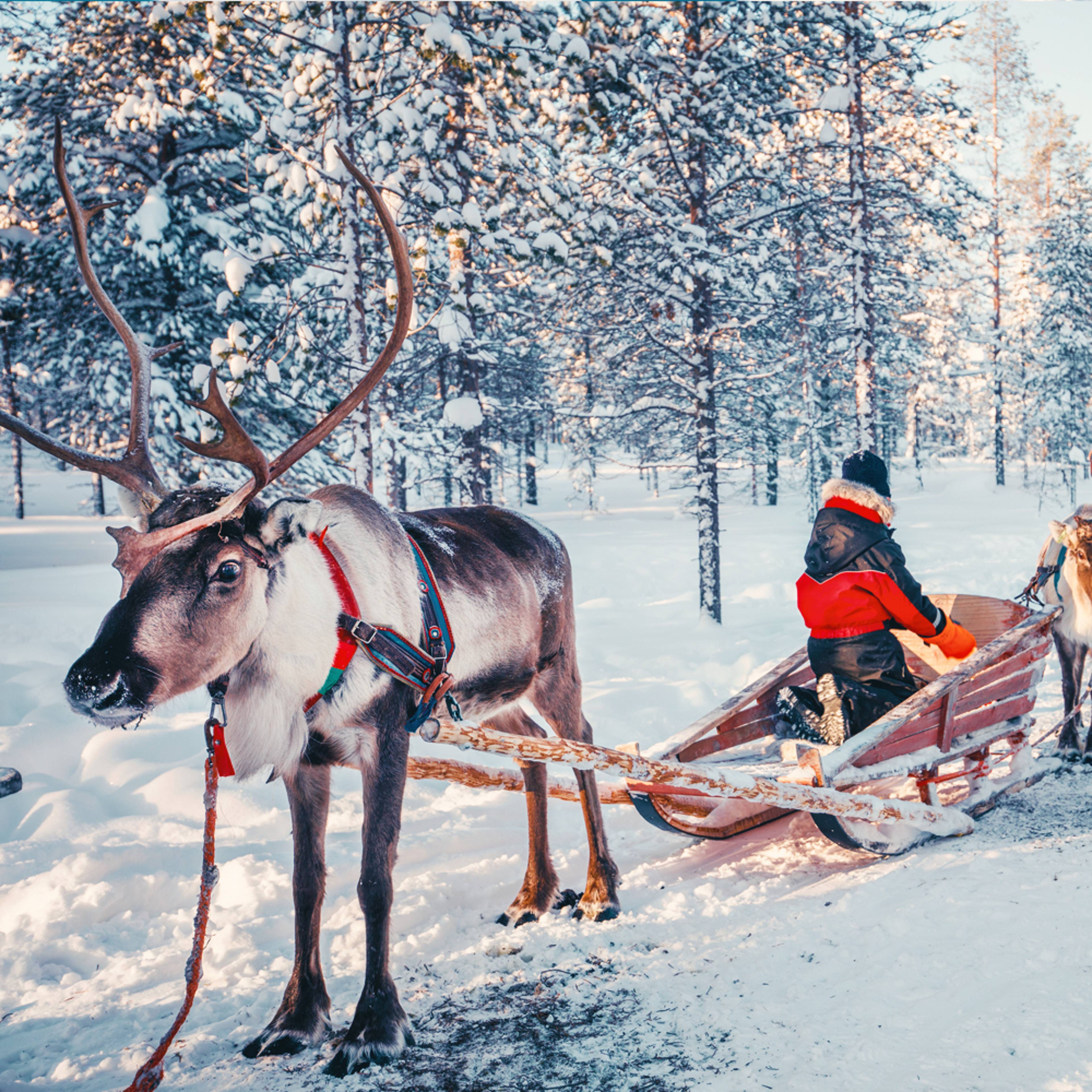 Uw op maat gemaakte Winter reis in Finland 