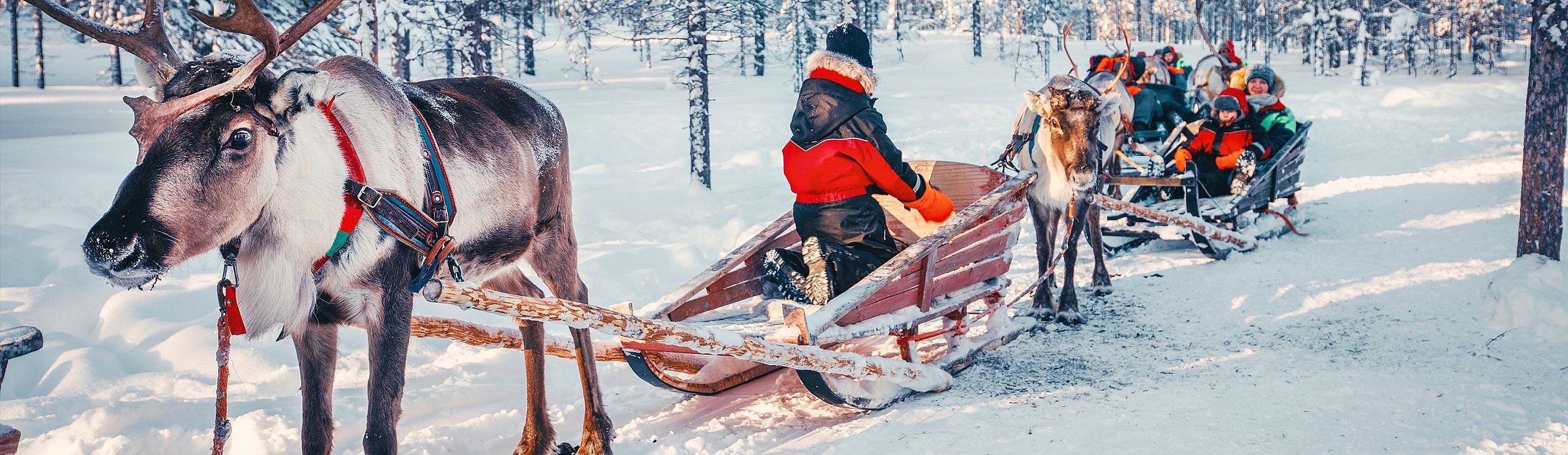 Viaggi in Finlandia in inverno