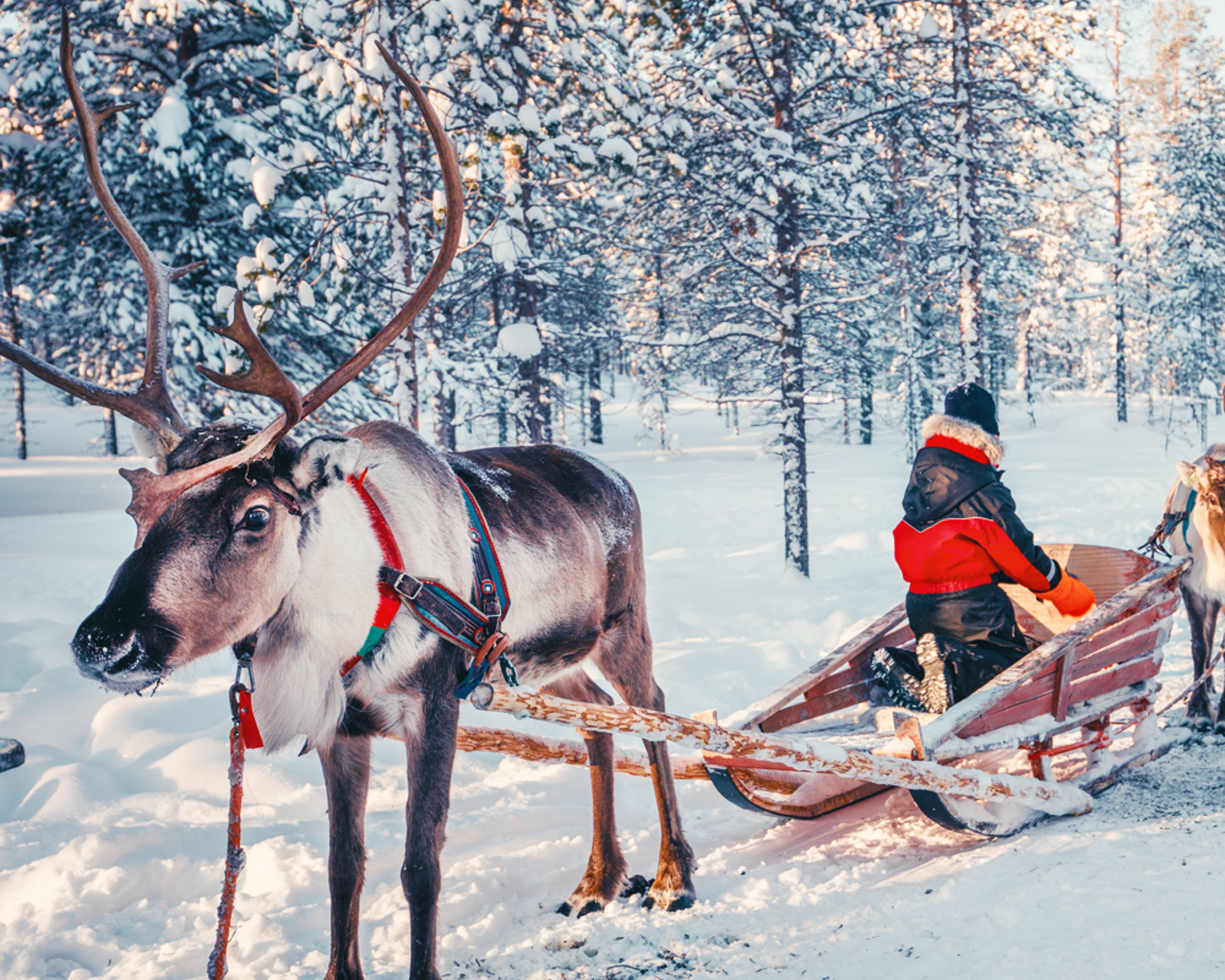 Crea il tuo viaggio in Finlandia in inverno, 100% su misura