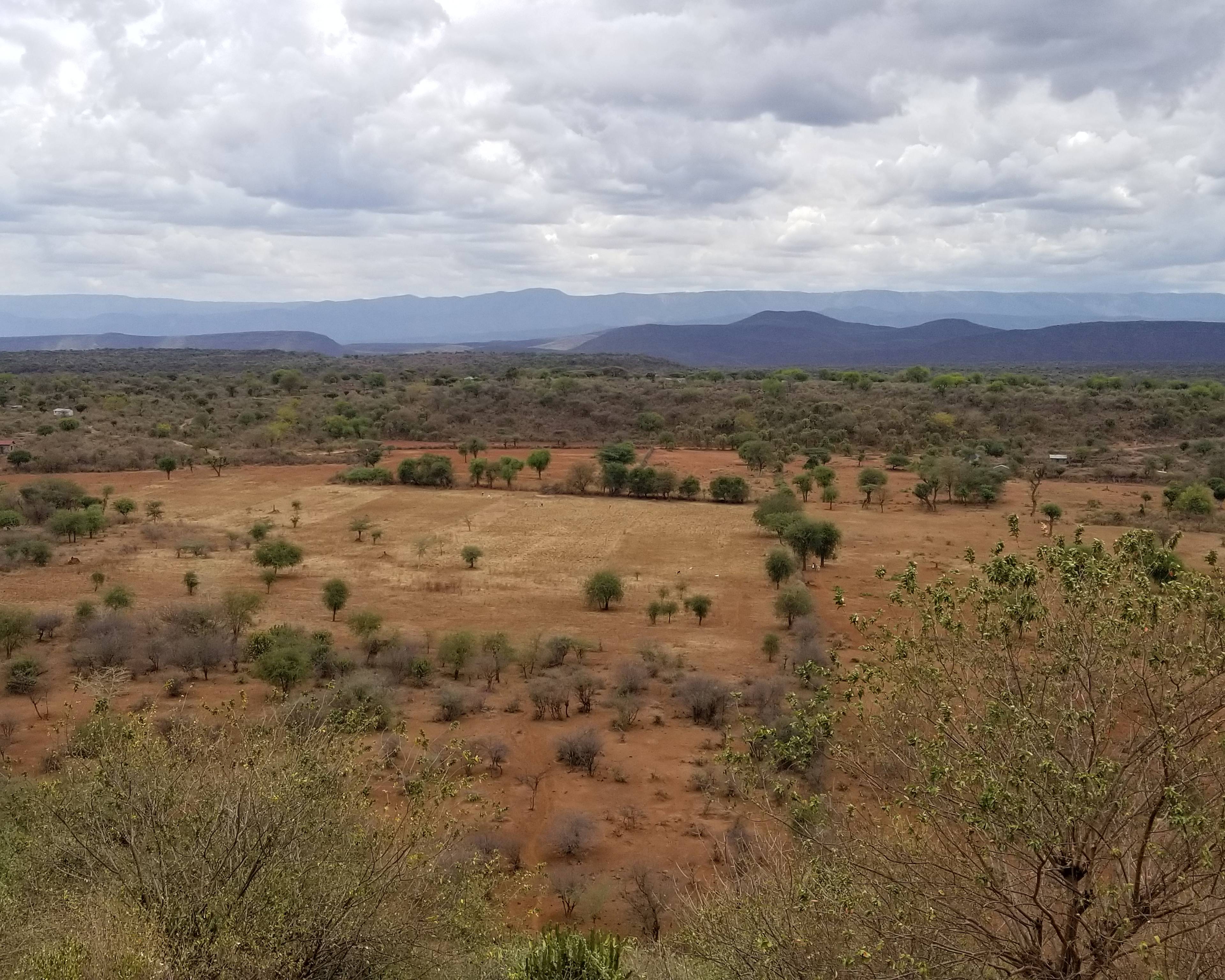 Kijani : éco-safari en terres préservées