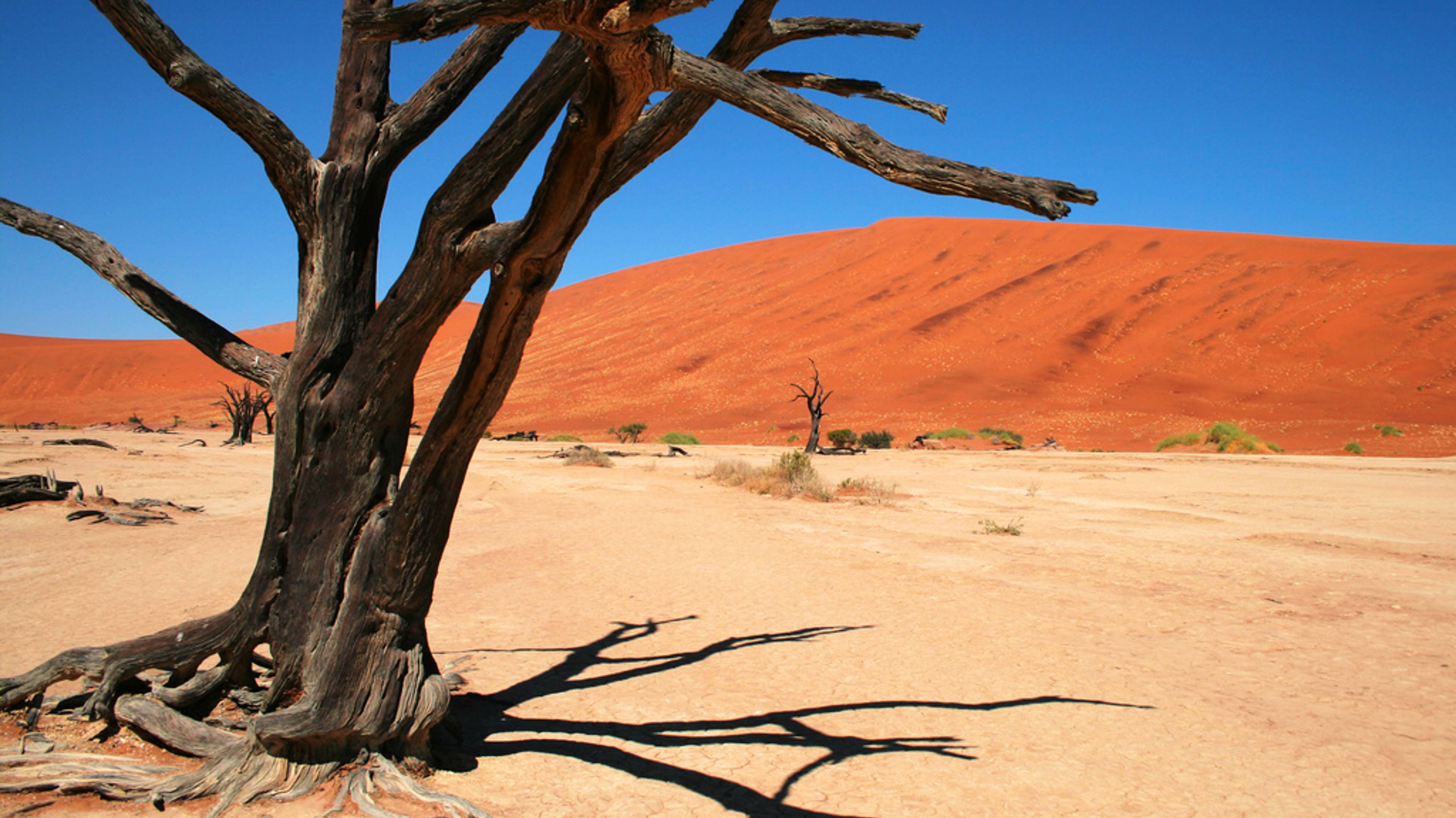 La Namibie du Nord au Sud, lodges et bivouac