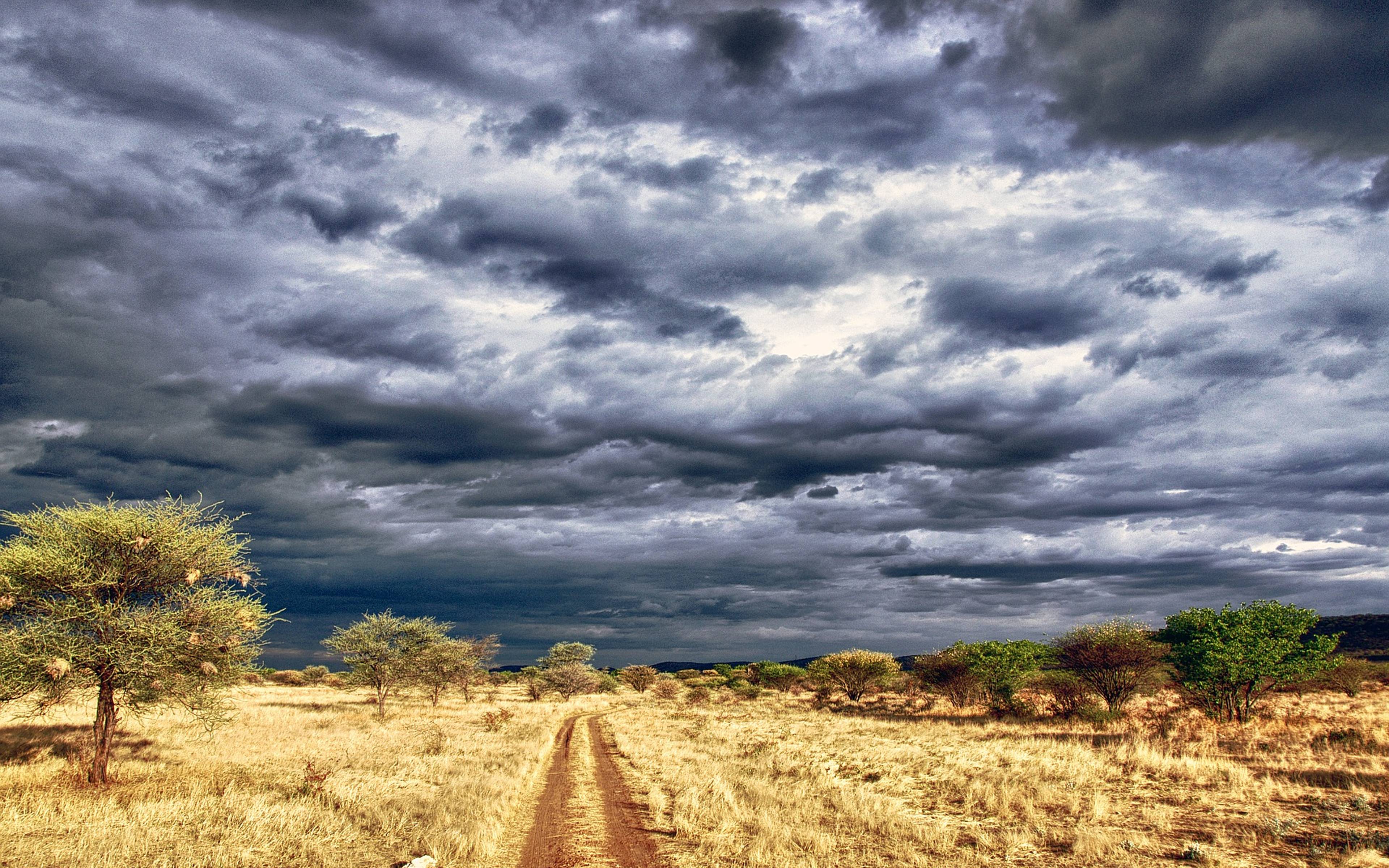Mythique désert du Kalahari