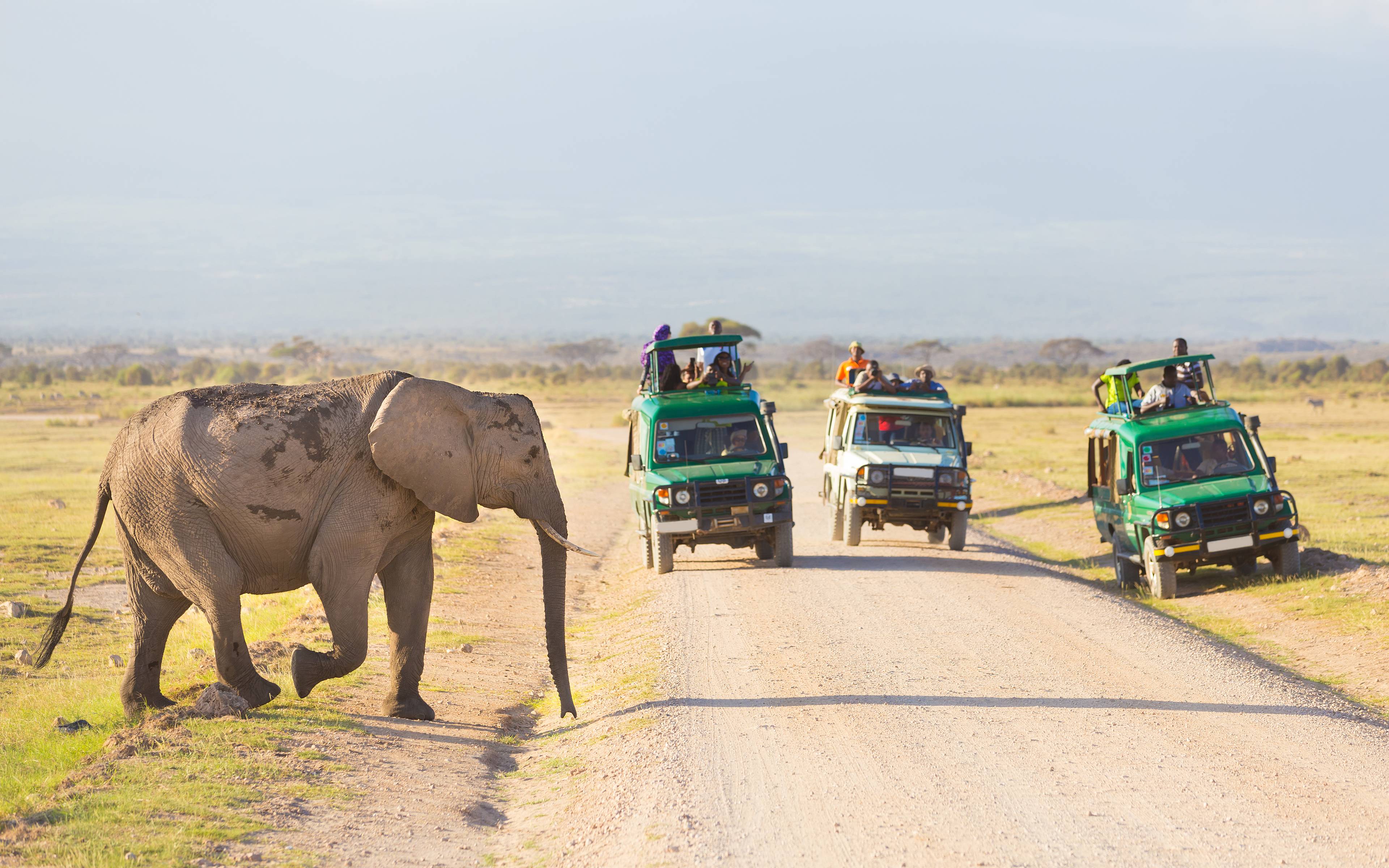 Safari al Parque Nacional Amboseli
