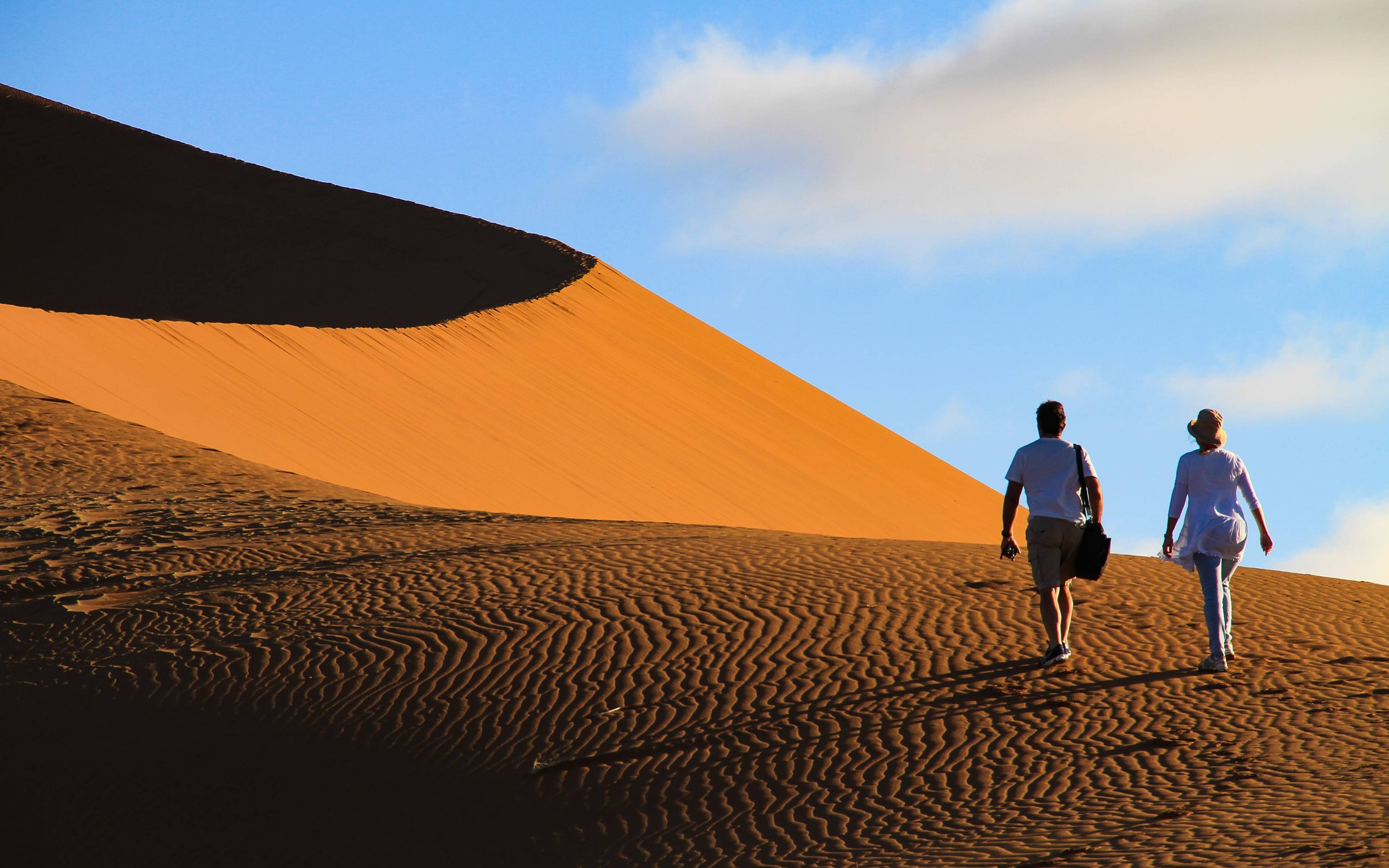 Le Namib et ses magnifiques paysages