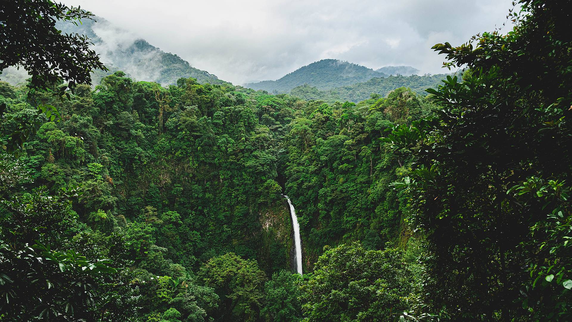 Combiné Costa Rica - Panamá : un pont entre nature et culture