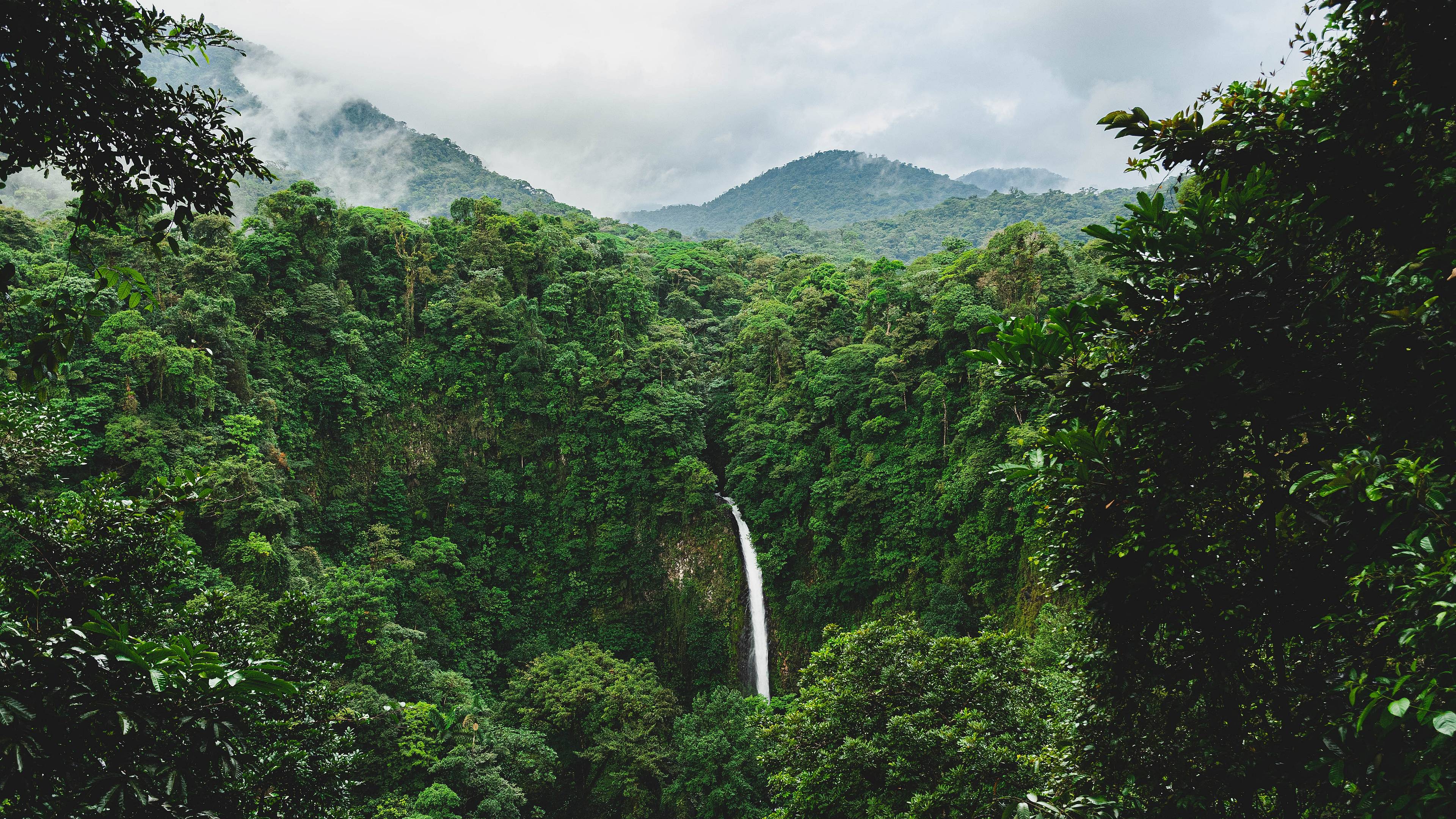 Combiné Costa Rica - Panamá : un pont entre nature et culture
