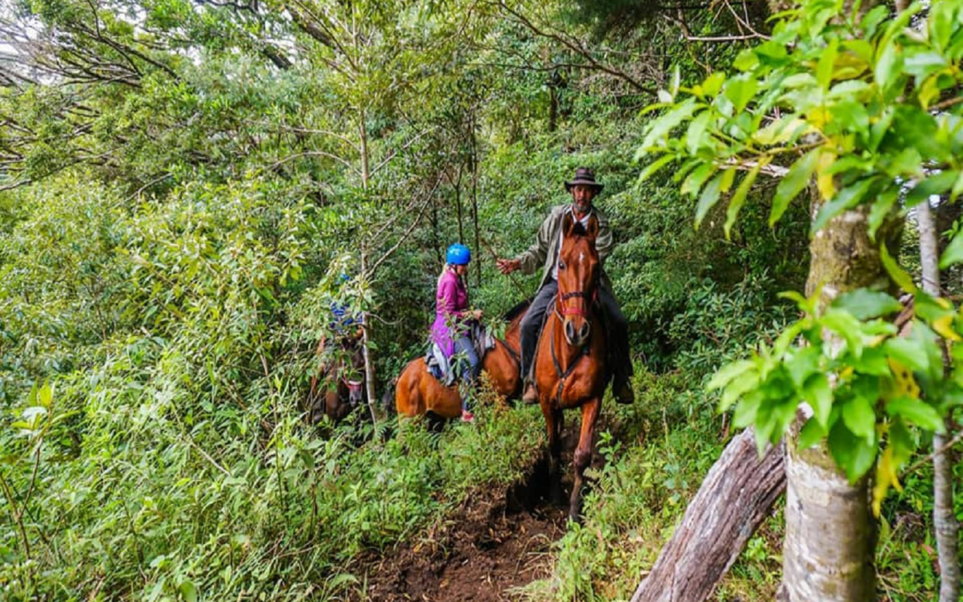 Avventura e passeggiate a cavallo nel magico Monteverde 