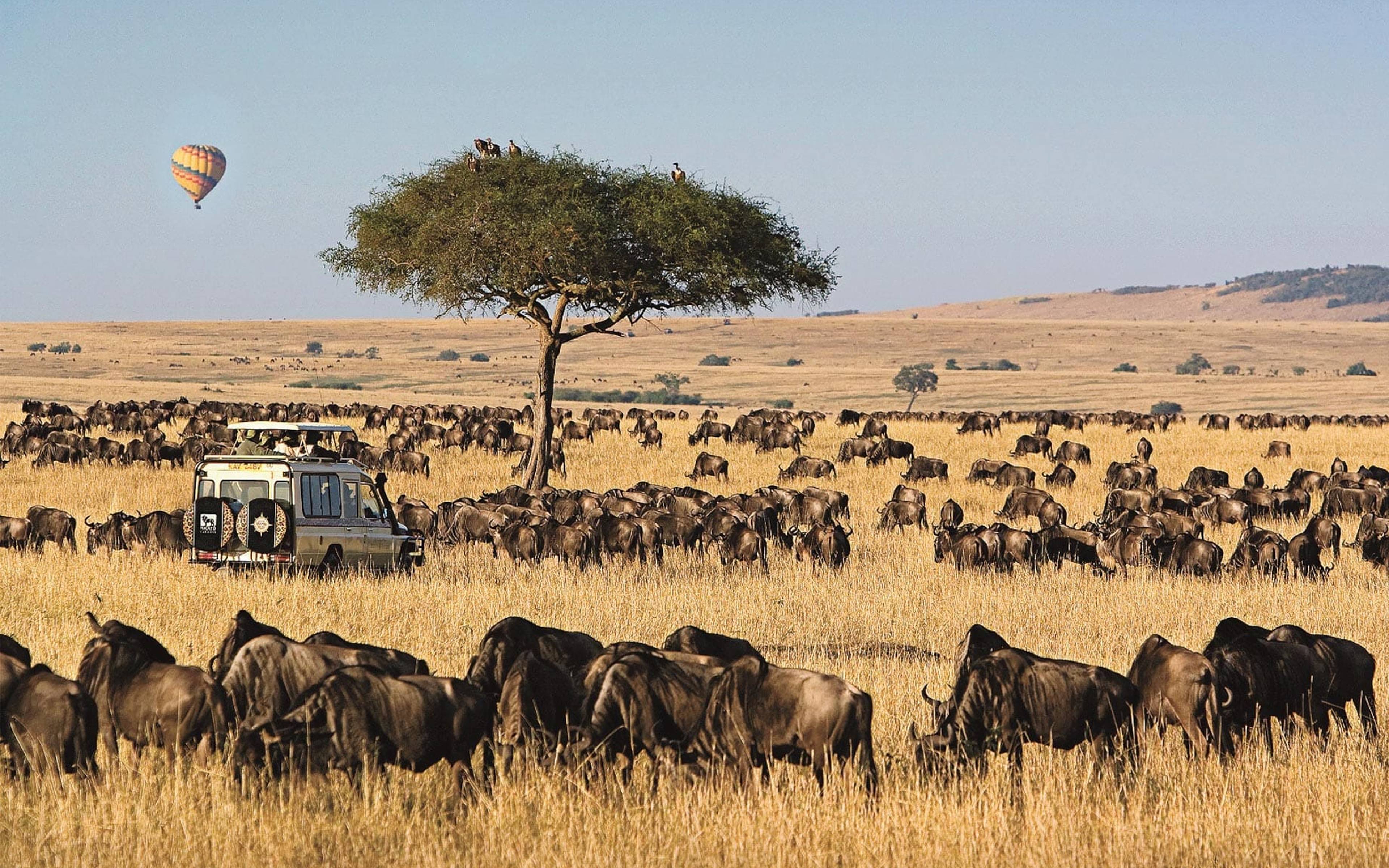 La Riserva Nazionale del Masai Mara