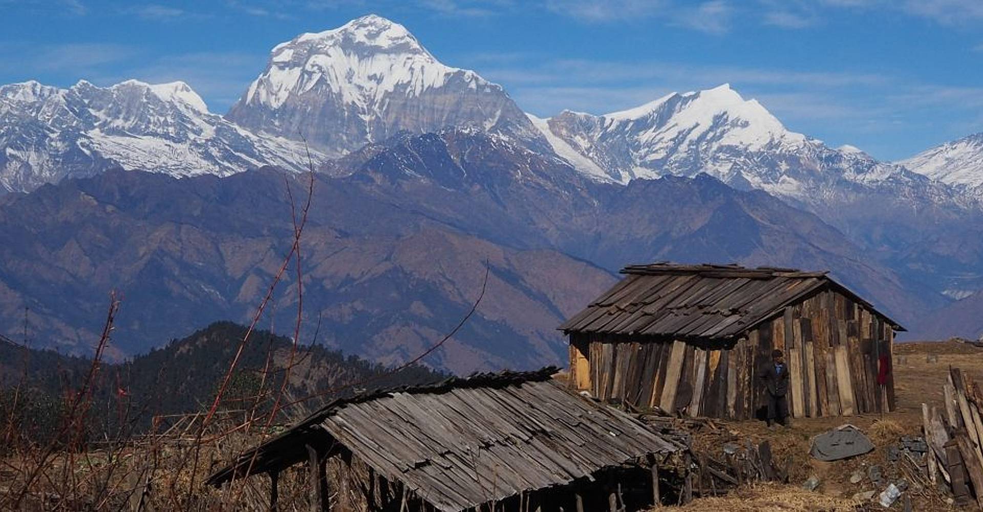 Trekking equo solidale sull'Annapurna