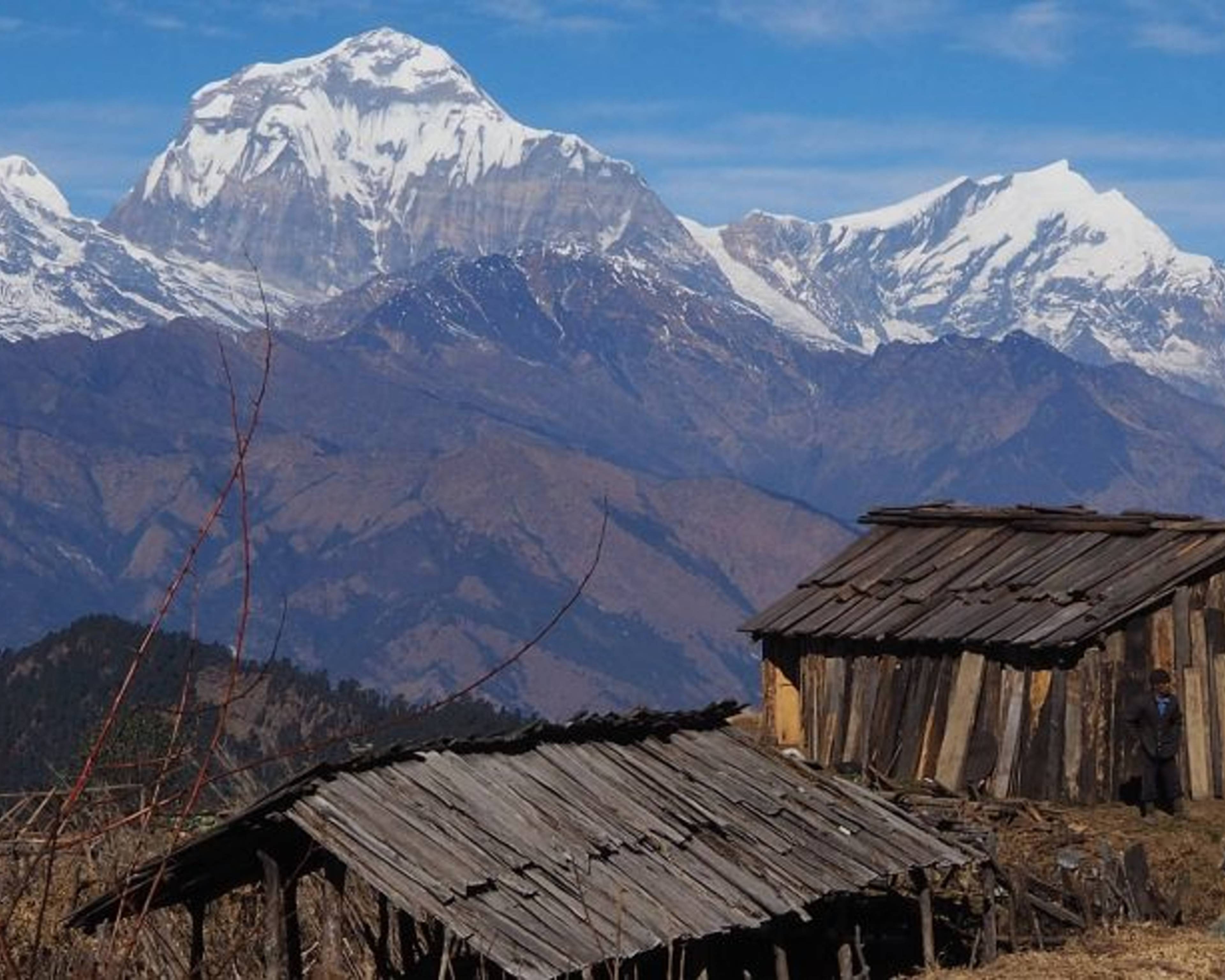 Trekking equo solidale sull'Annapurna