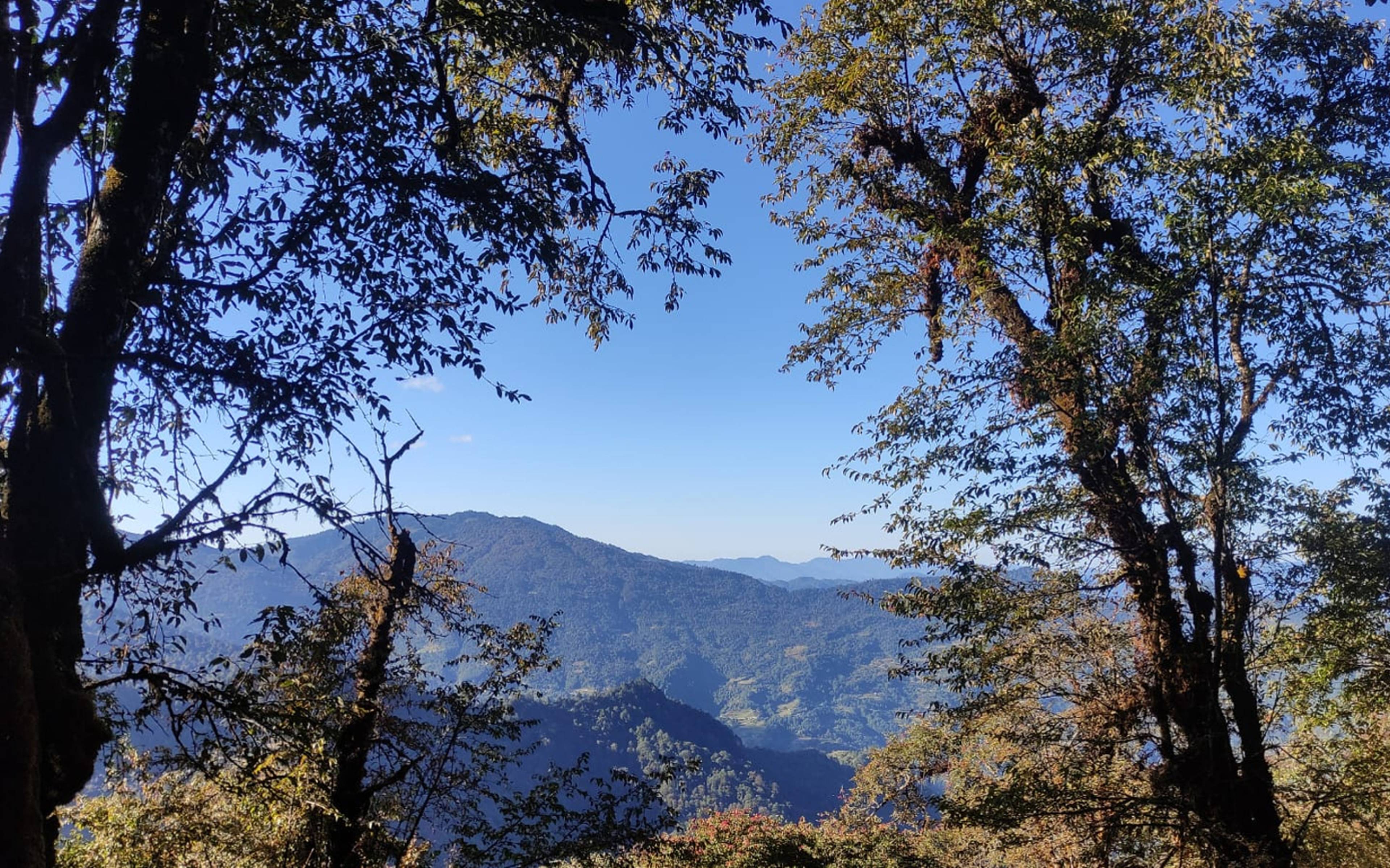 Trekking fino a Dhankharka (3026 m) 
