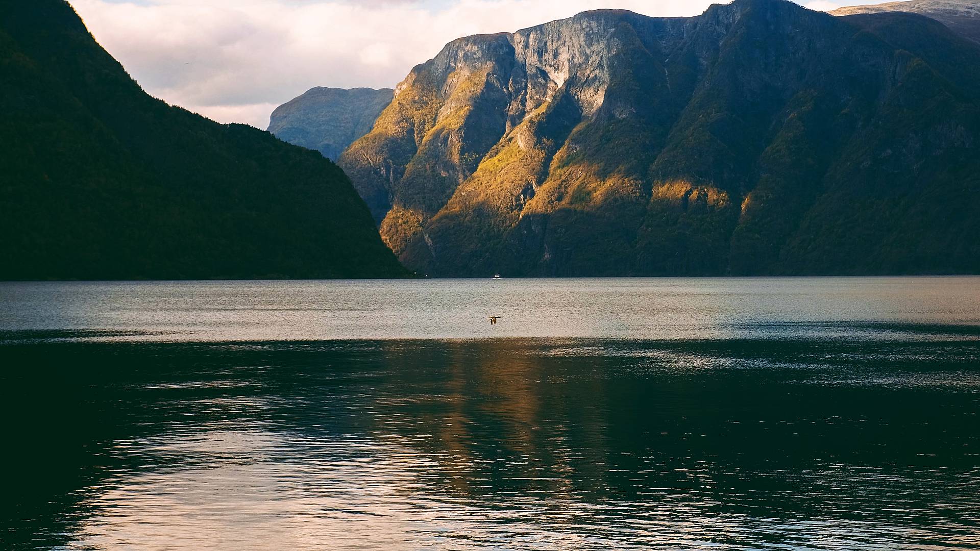 Odyssée au coeur des fjords
