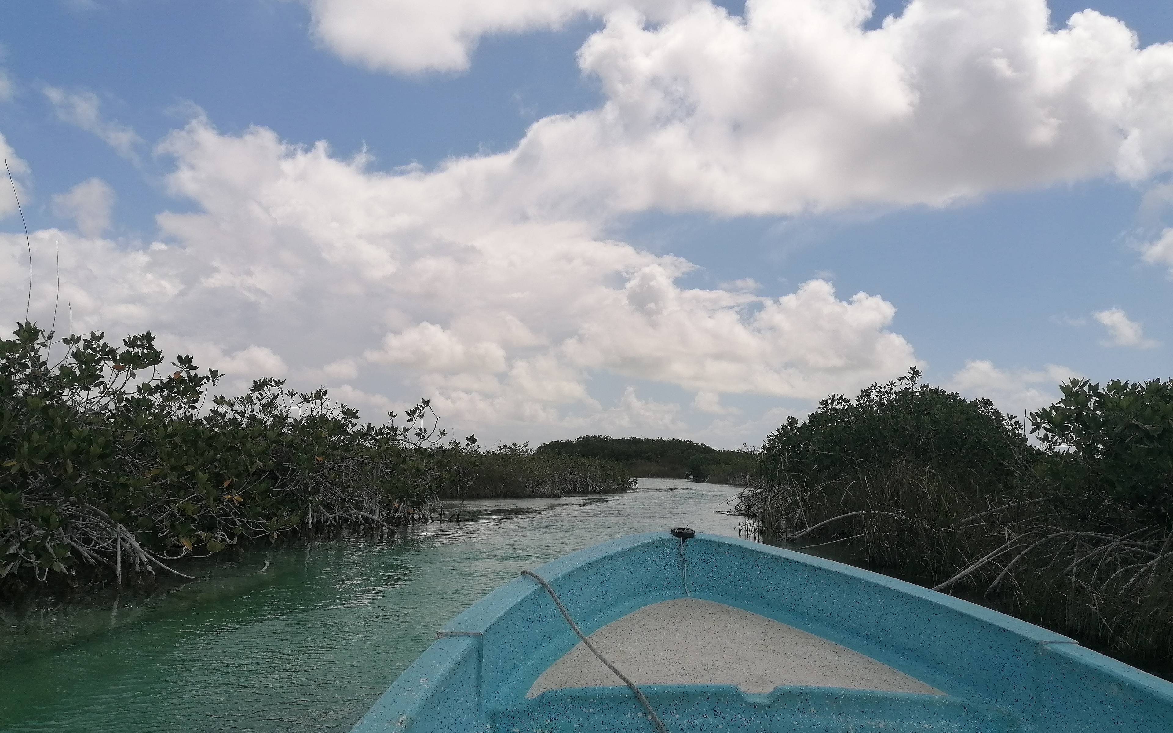 Naviga attraverso le mangrovie della Riserva della Biosfera di Sian Ka'an