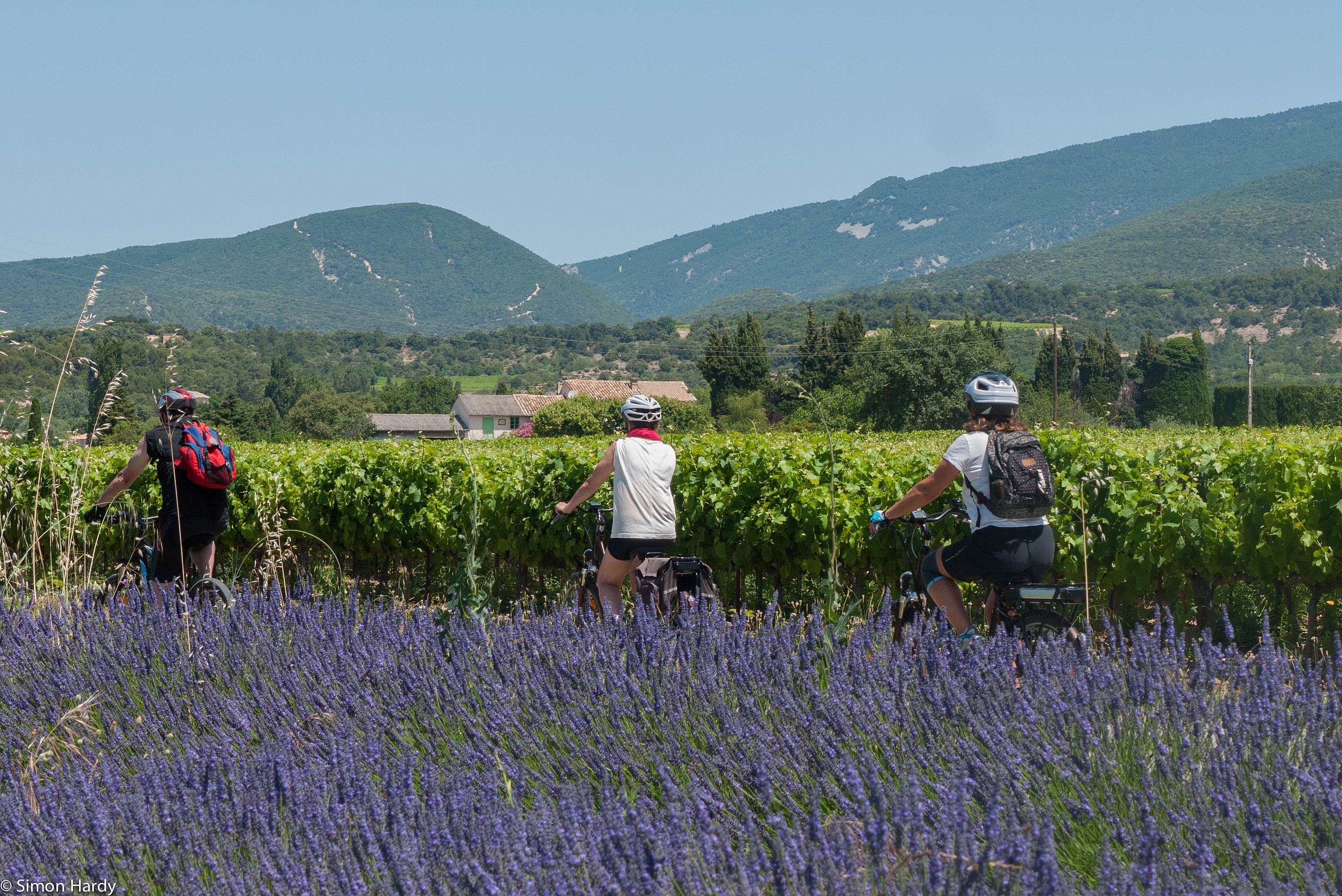 Radfahren durch das Herz der Provence