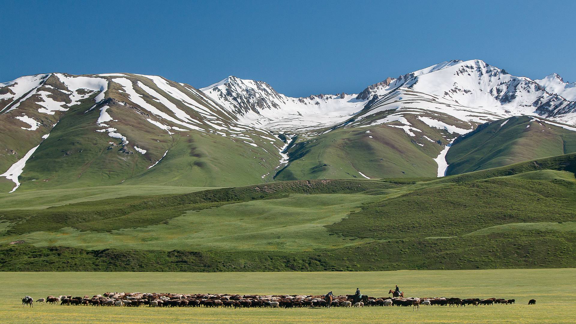 Natur und Kultur im Herzen Zentralasiens