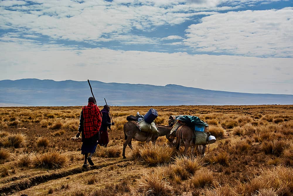 Safari magique et randonnée Maasai