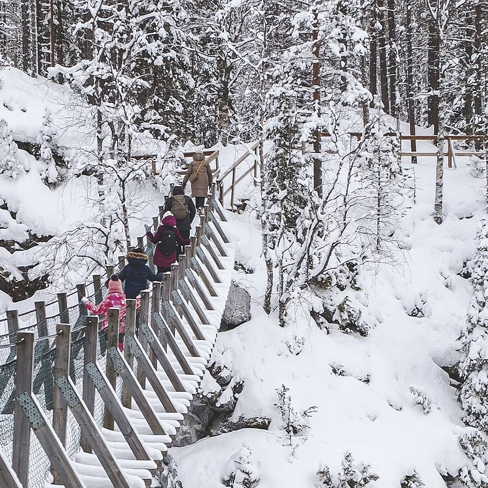 Votre voyage en famille en Laponie selon vos envies