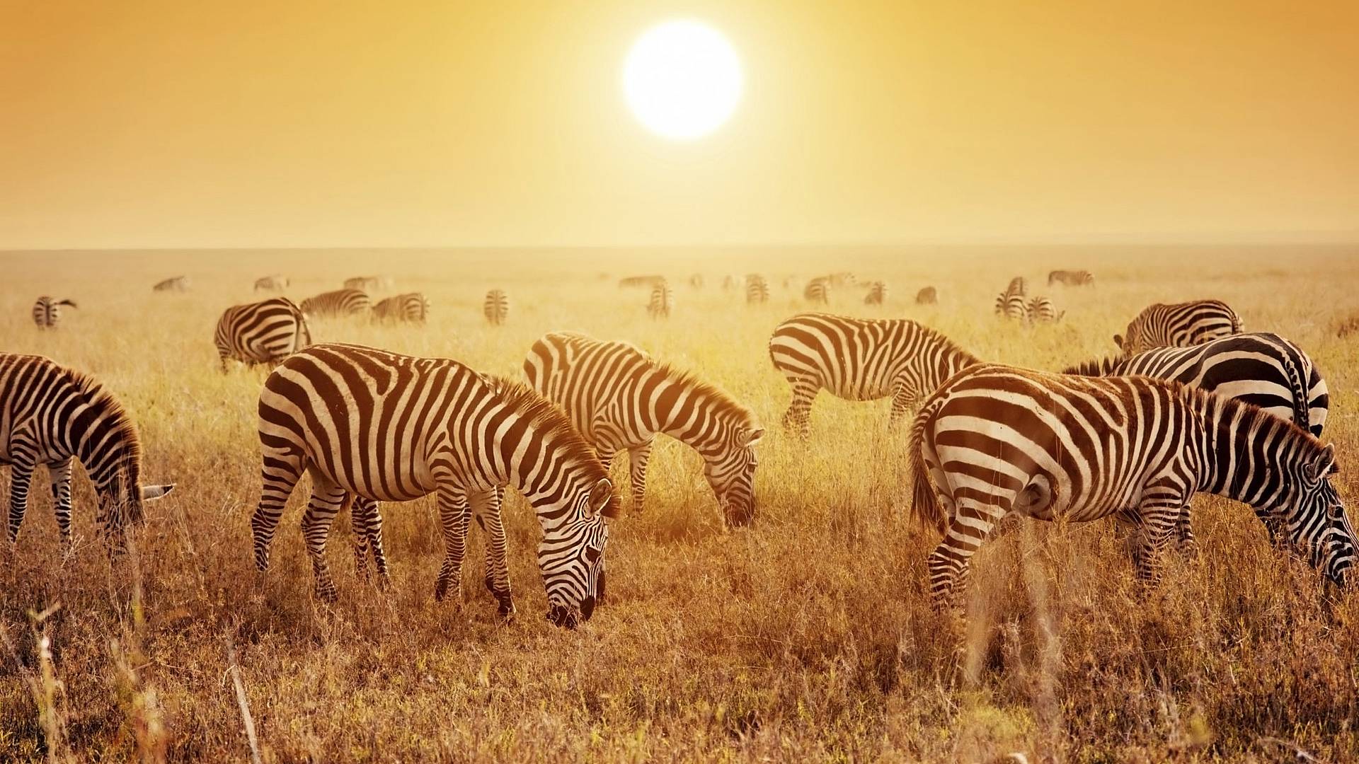 Lo spirito della Tanzania in un safari di gruppo